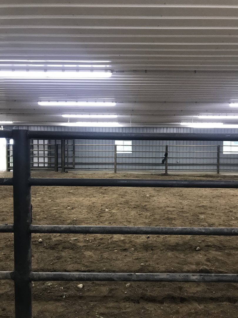 Rhino building- Indian Rhino Indoor exhibit