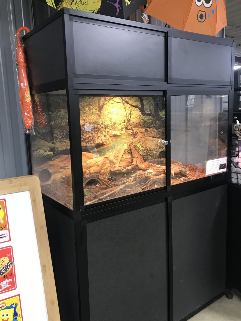 Rhino Building- Mexican Black Kingsnake Exhibit