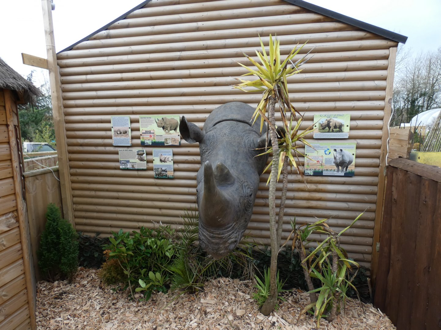 Rhino education area