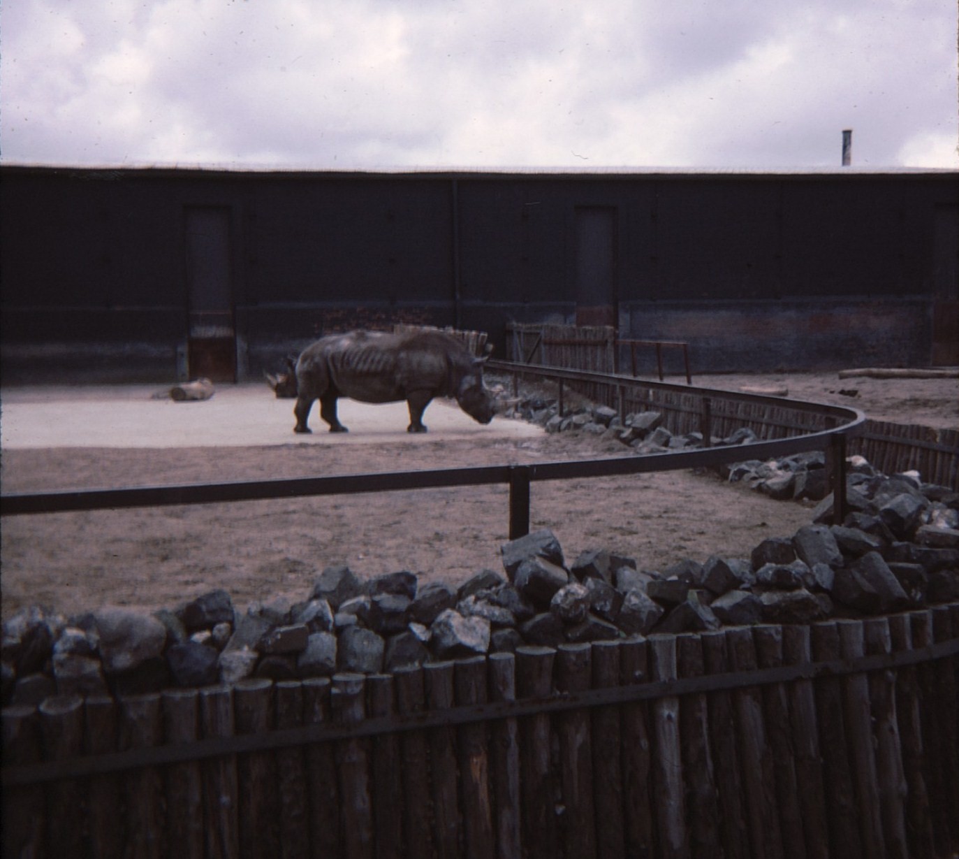 Rhino Enclosure 1979