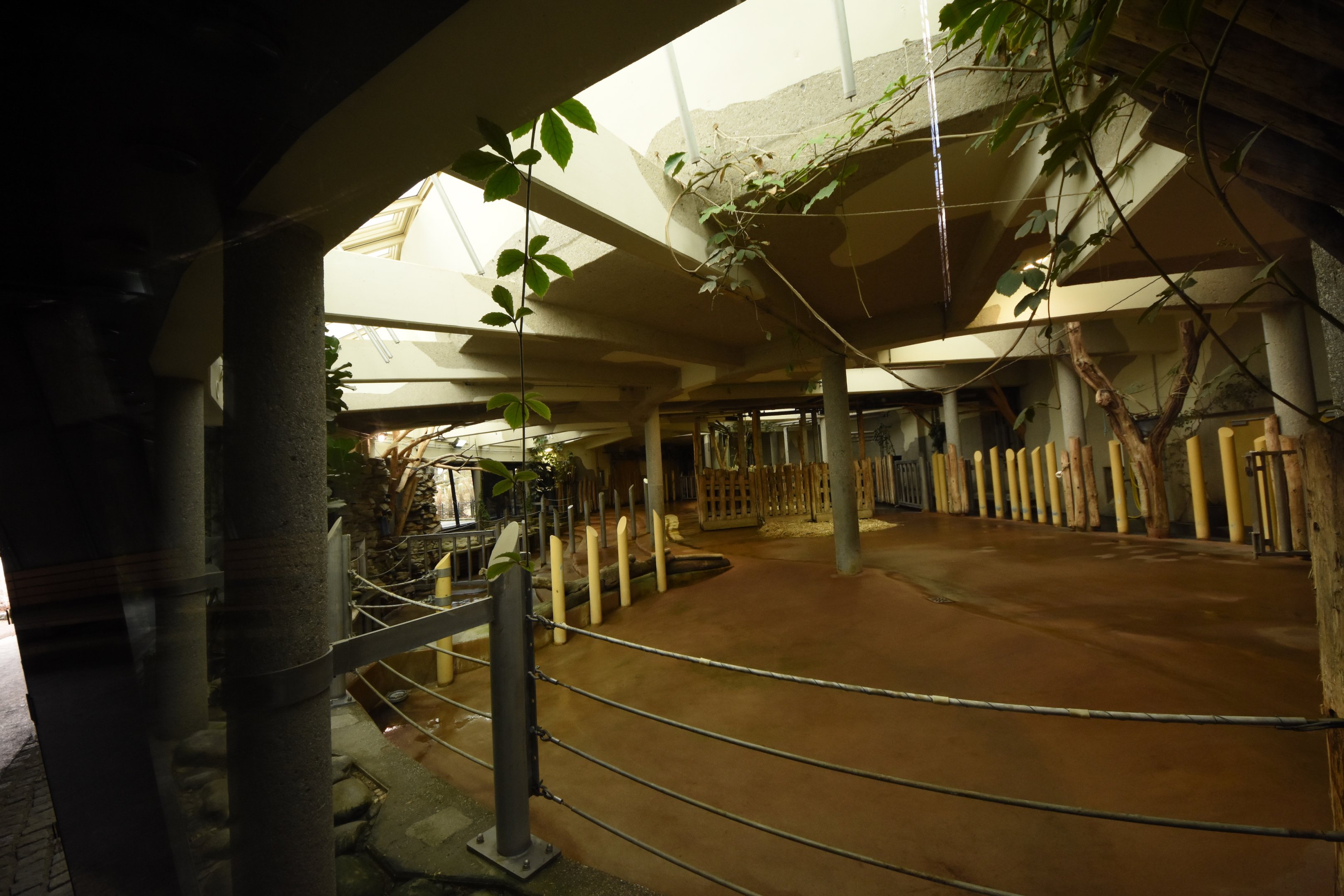 Rhino enclosure - indoors