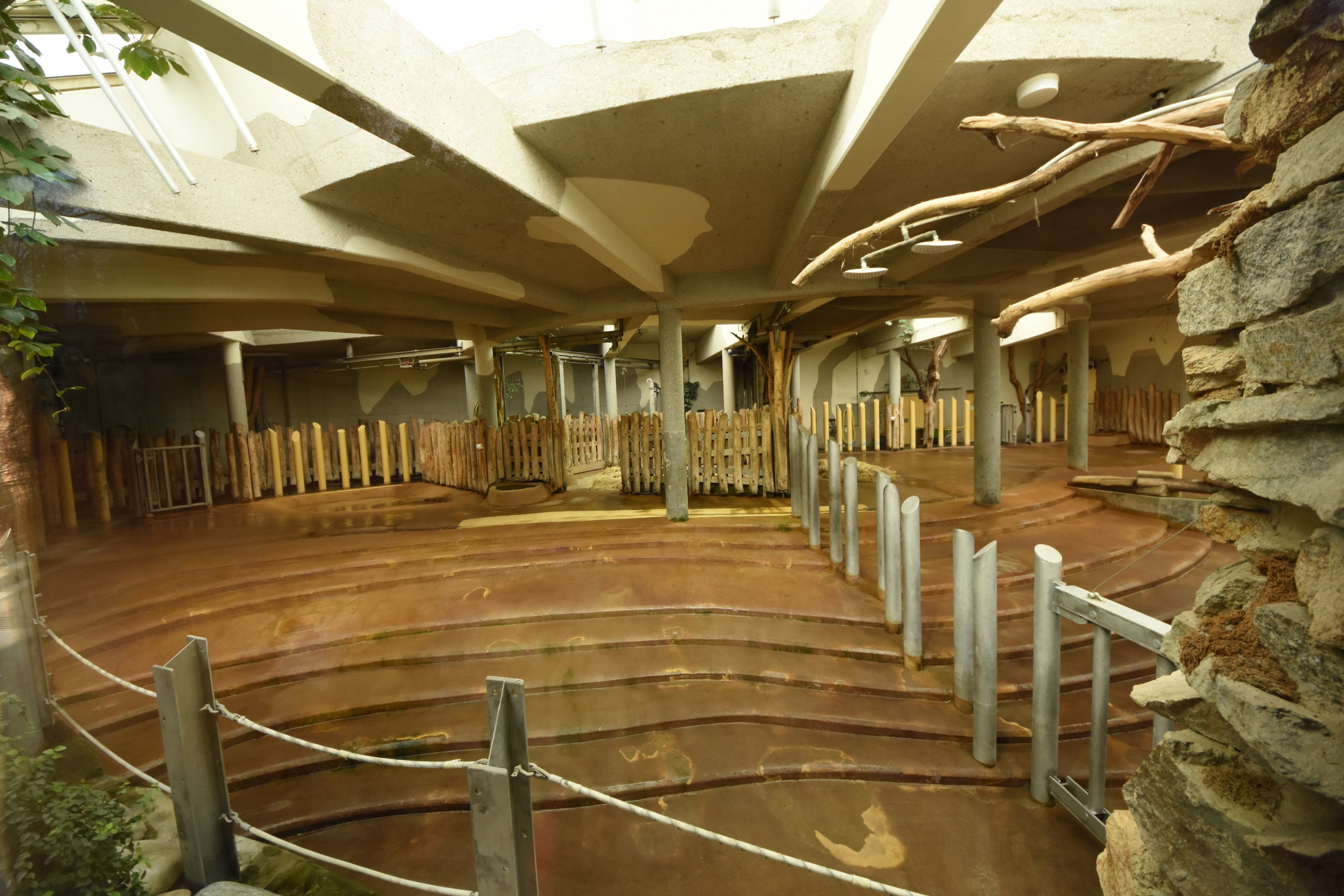 Rhino enclosure - indoors