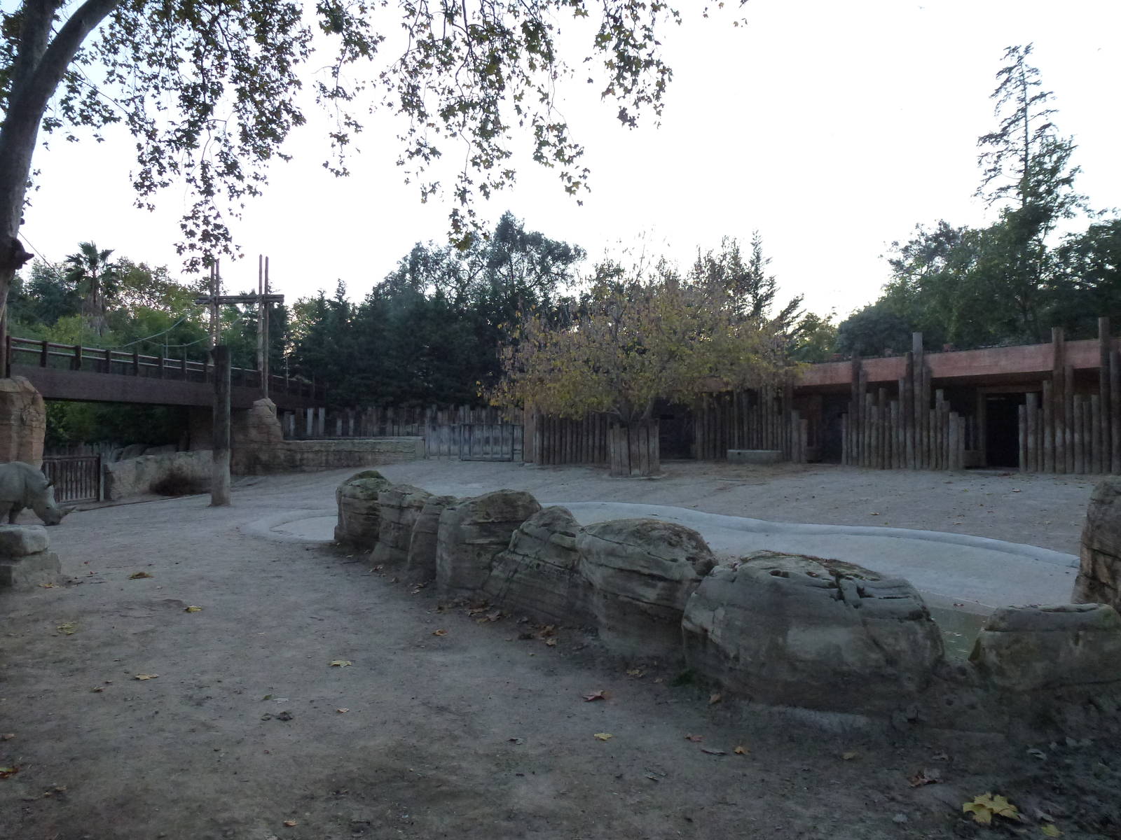 Rhino enclosure, November 2013.