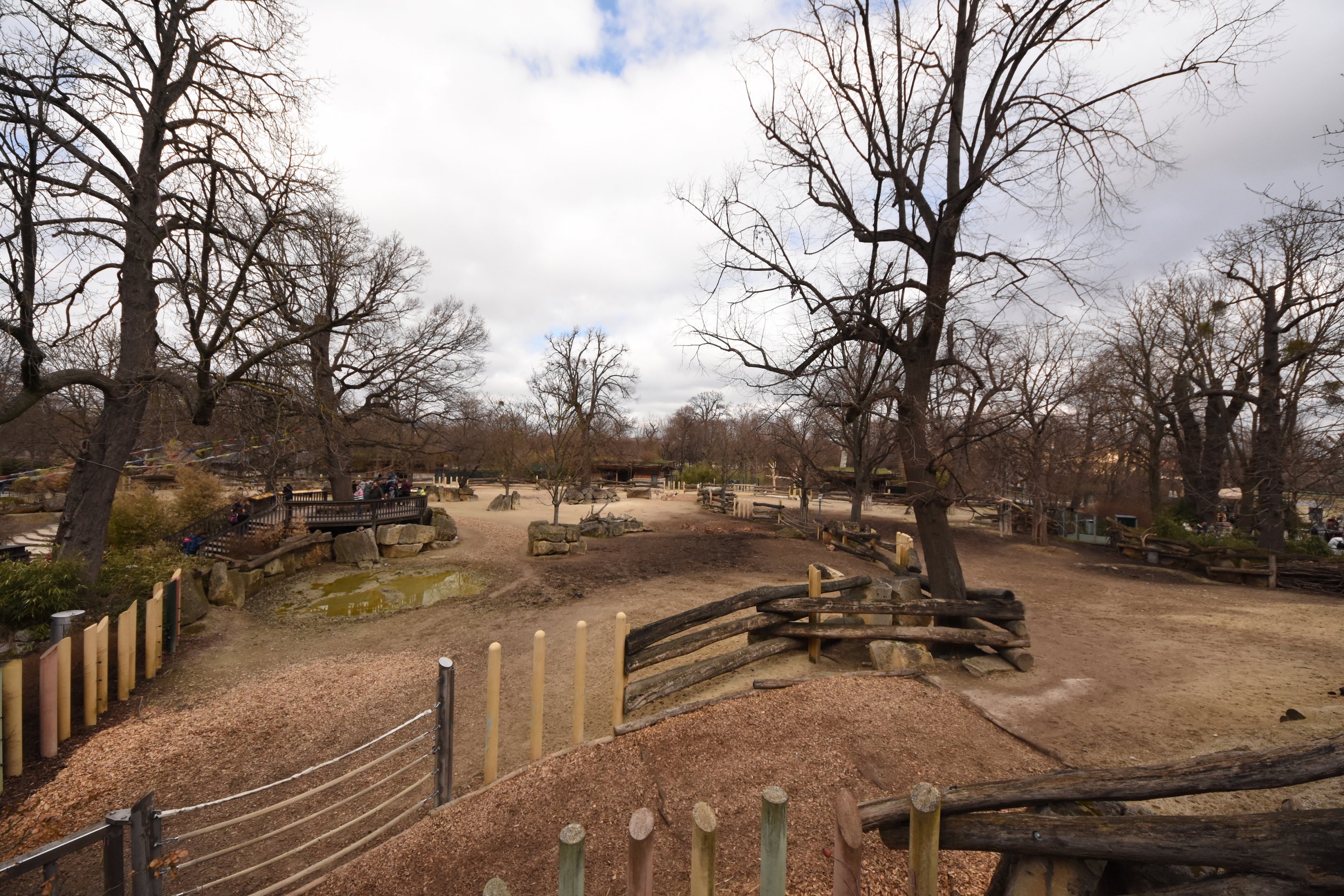 Rhino enclosure - Overview