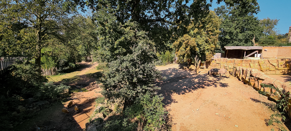 Rhino enclosure part I