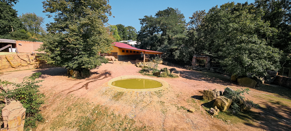 Rhino enclosure part II