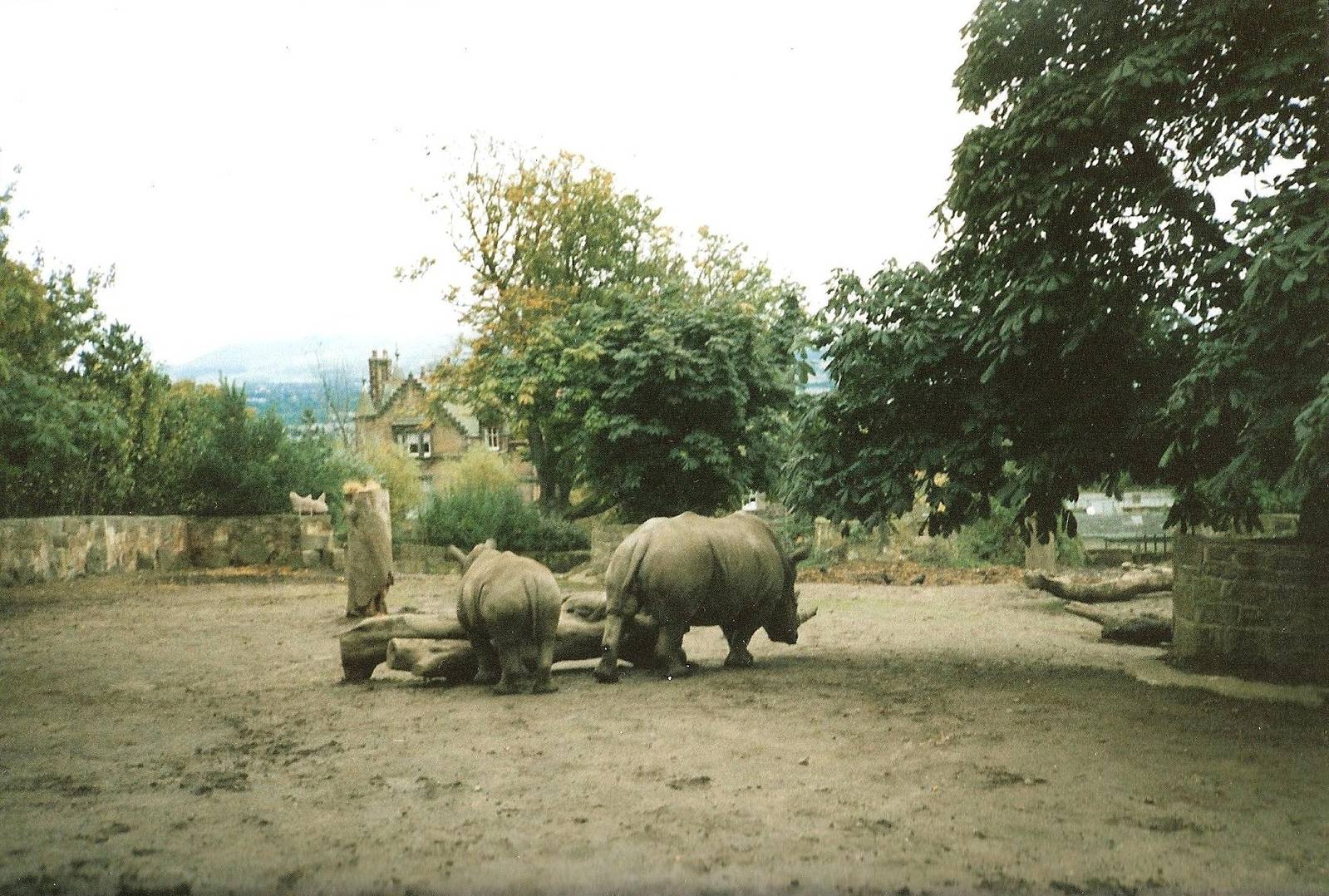Rhino Enclosure September 1991