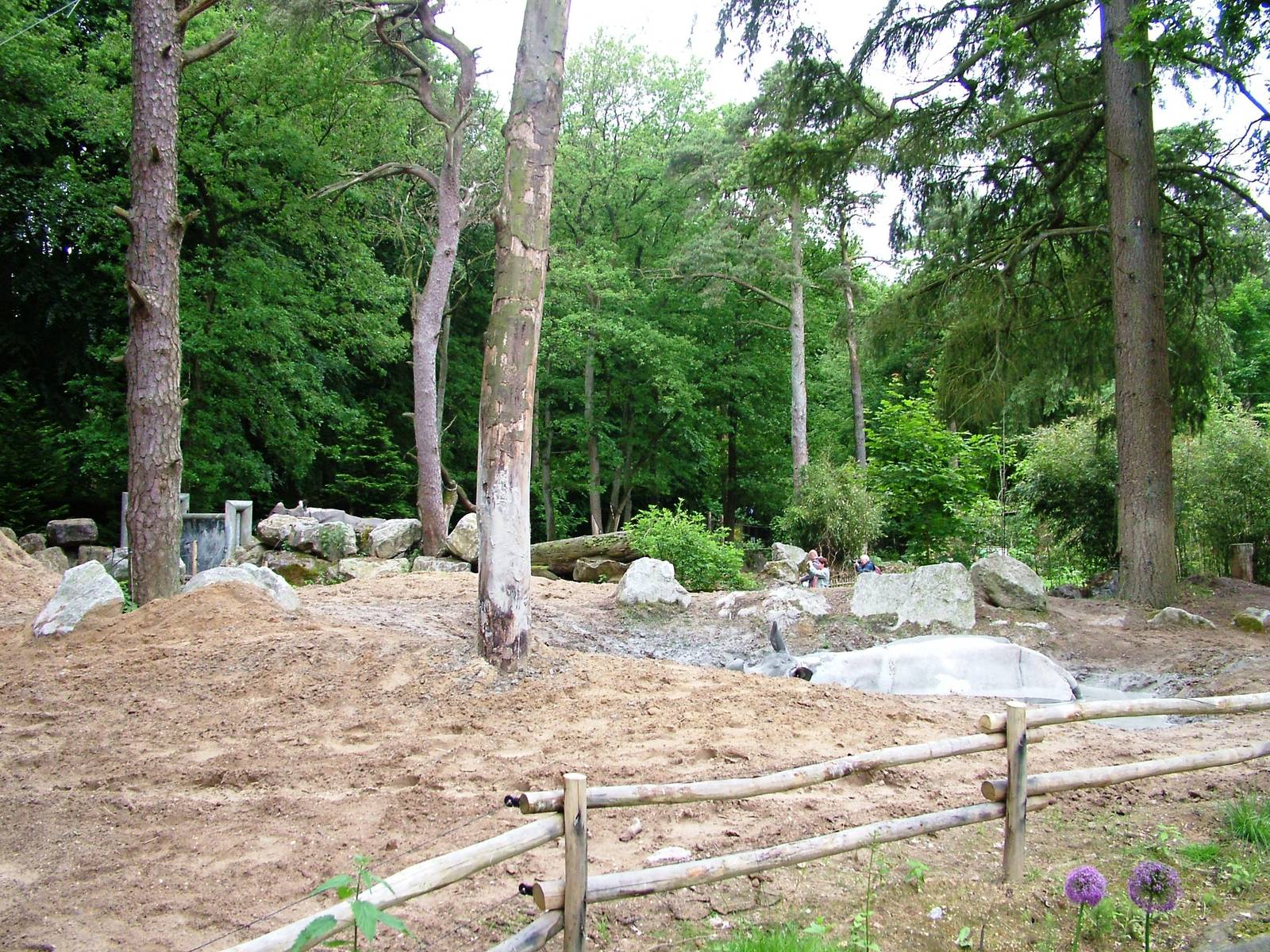 Rhino Exhibit at Amersfoort, 01/06/12