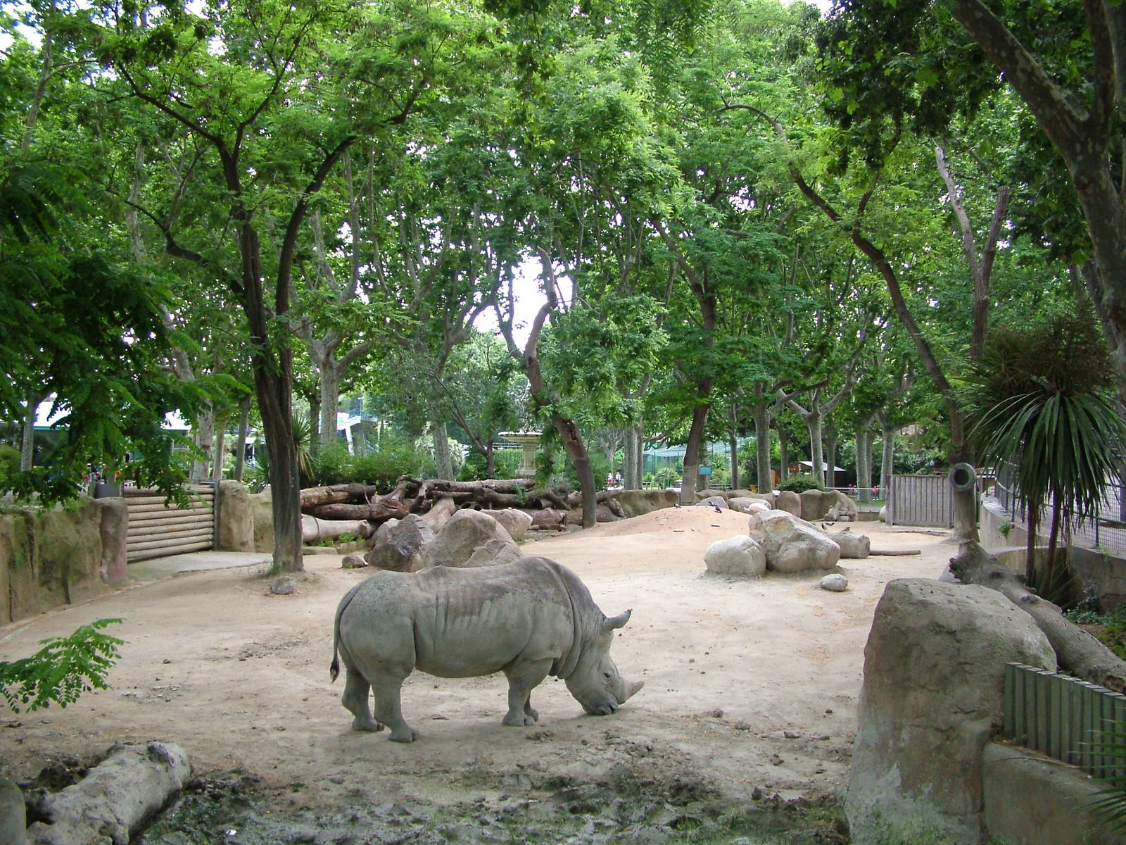 Rhino Exhibit at Barcelona, 30/05/11