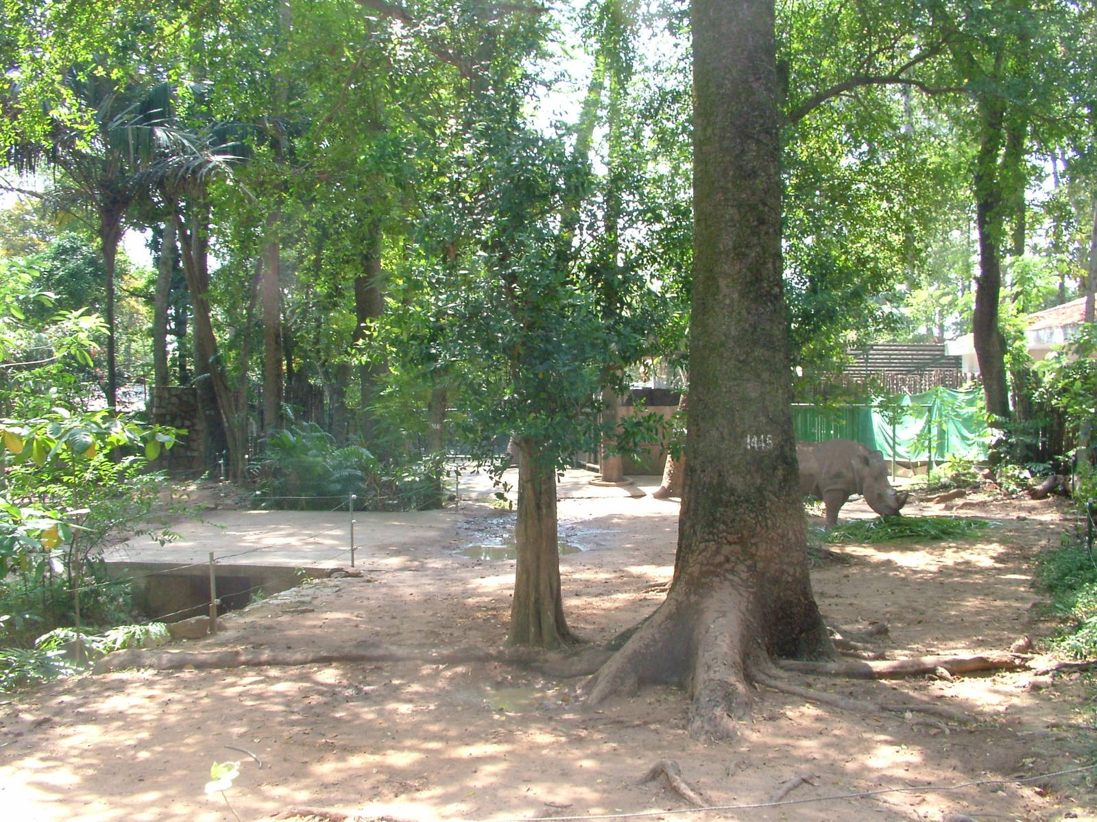 Rhino Exhibit at Saigon Zoo, 16/03/12