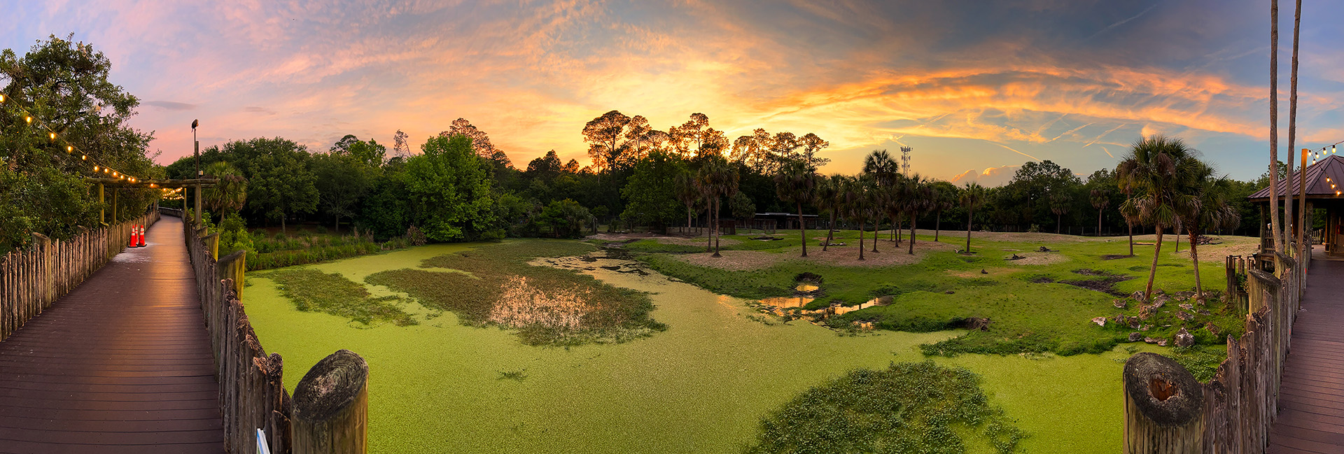 Rhino Exhibit At Sunset
