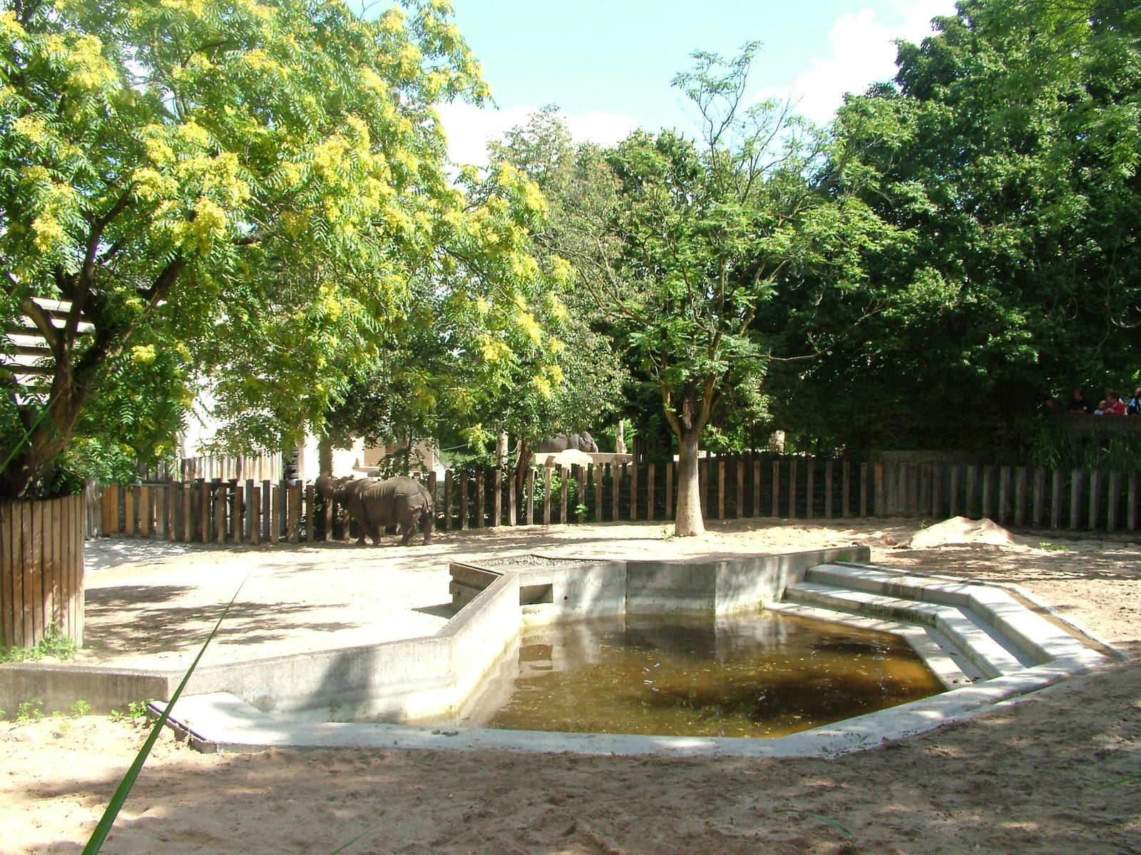 Rhino Exhibit at Wilhelma, Stuttgart 02/09/10