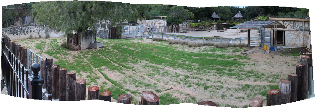 rhino exhibit renovations