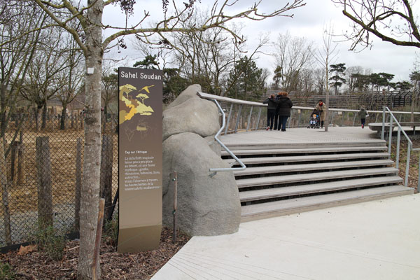 rhino exhibit viewing platform