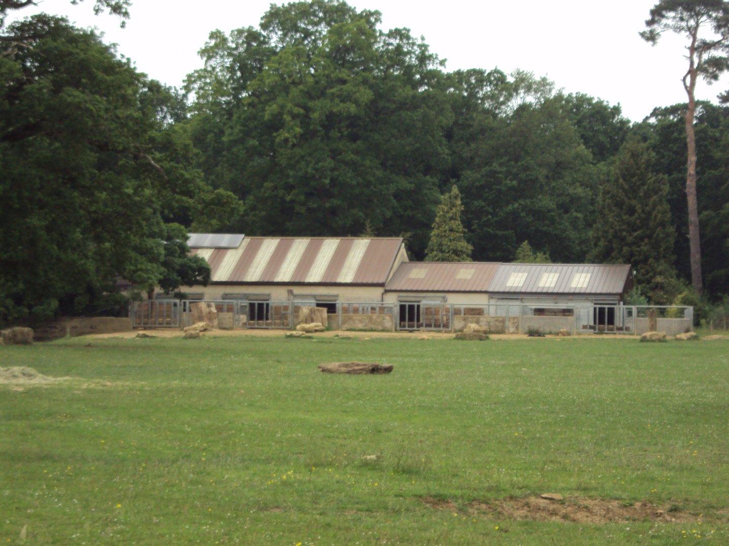 Rhino House 23/06/2019