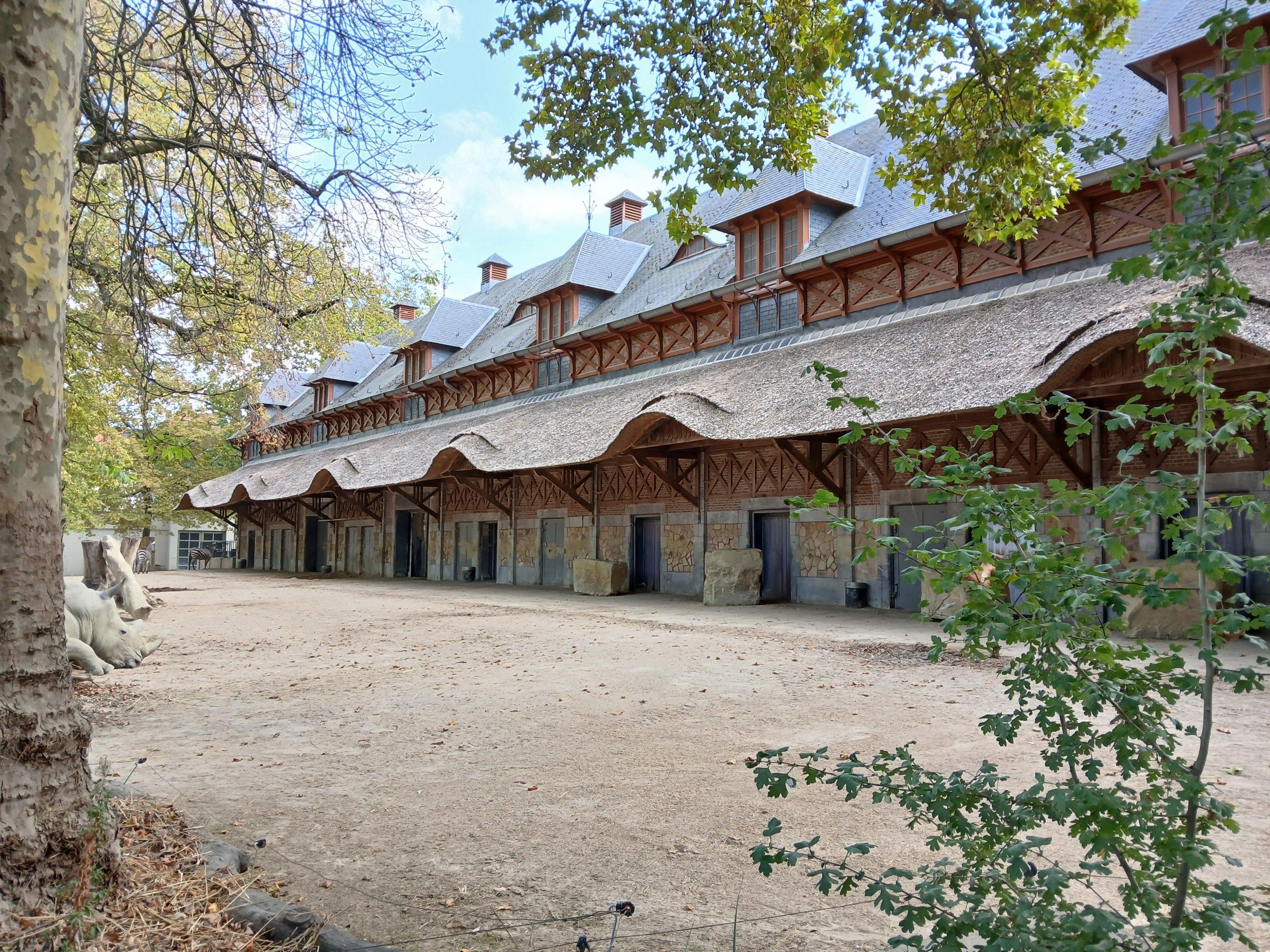 Rhino House (30th September 2025)