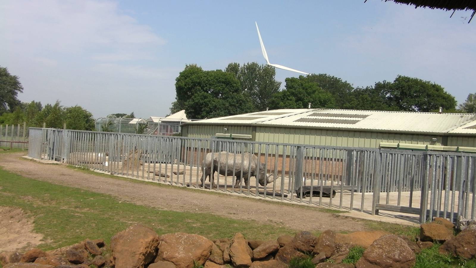 Rhino House and Outside Yard - 02.08.2011