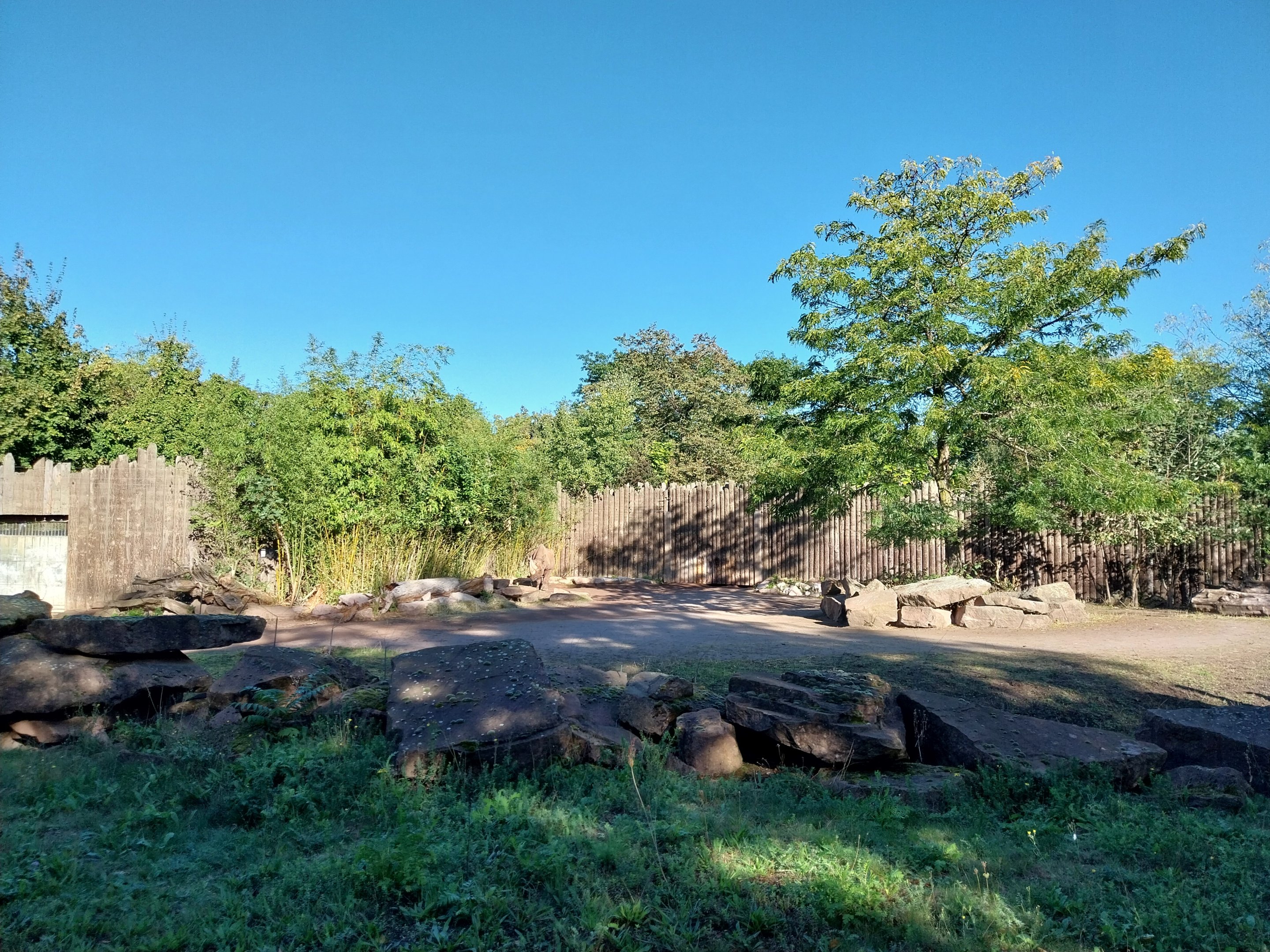Rhino House - Eastern Black Rhinoceros (Diceros bicornis michaeli)