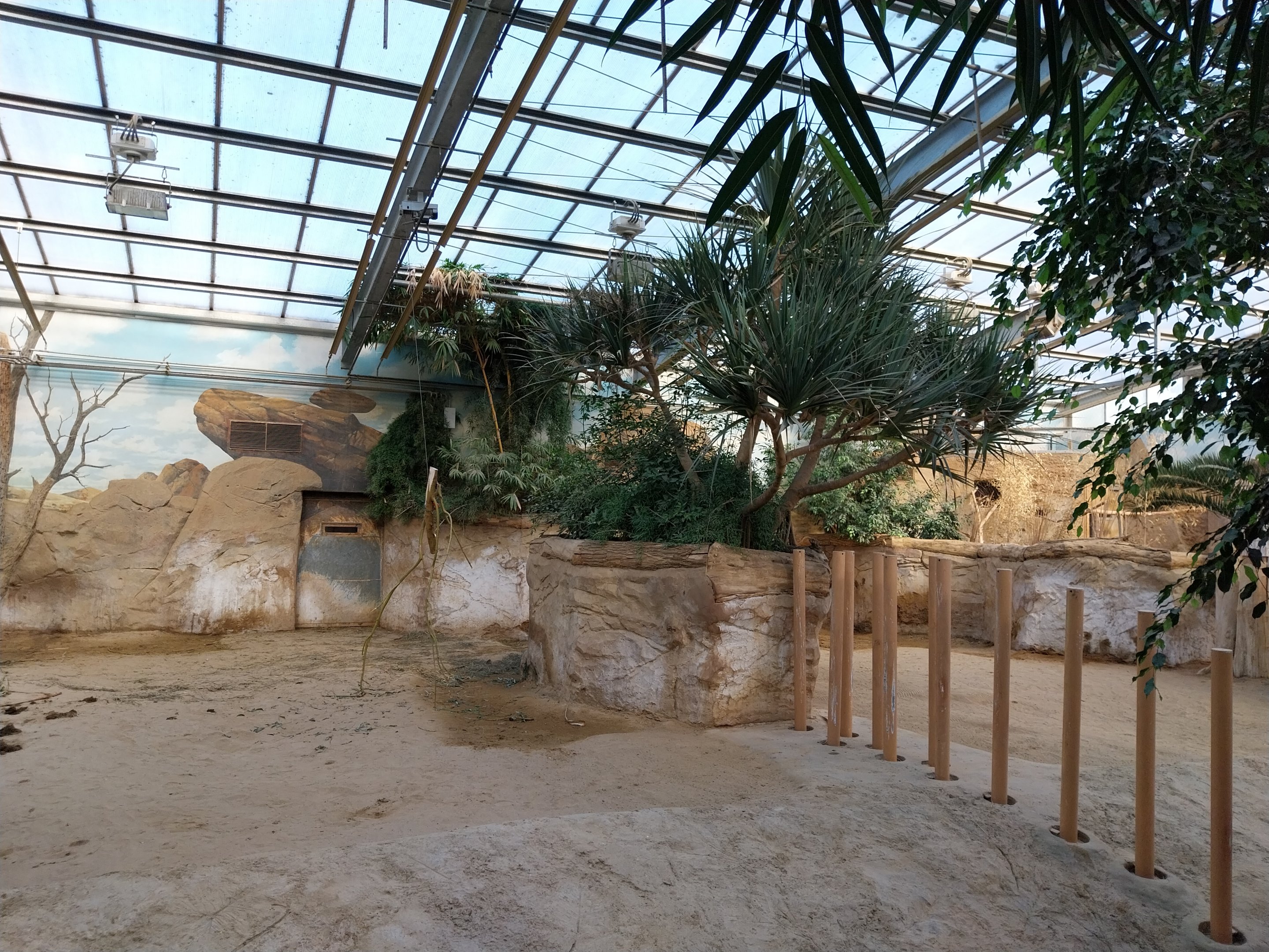 Rhino House - Eastern Black Rhinoceros (Diceros bicornis michaeli)