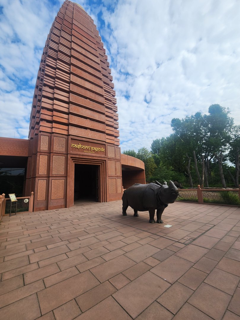 Rhino House Entrance