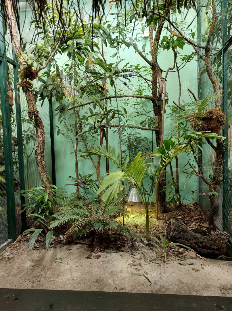 Rhino house - mixed aviary