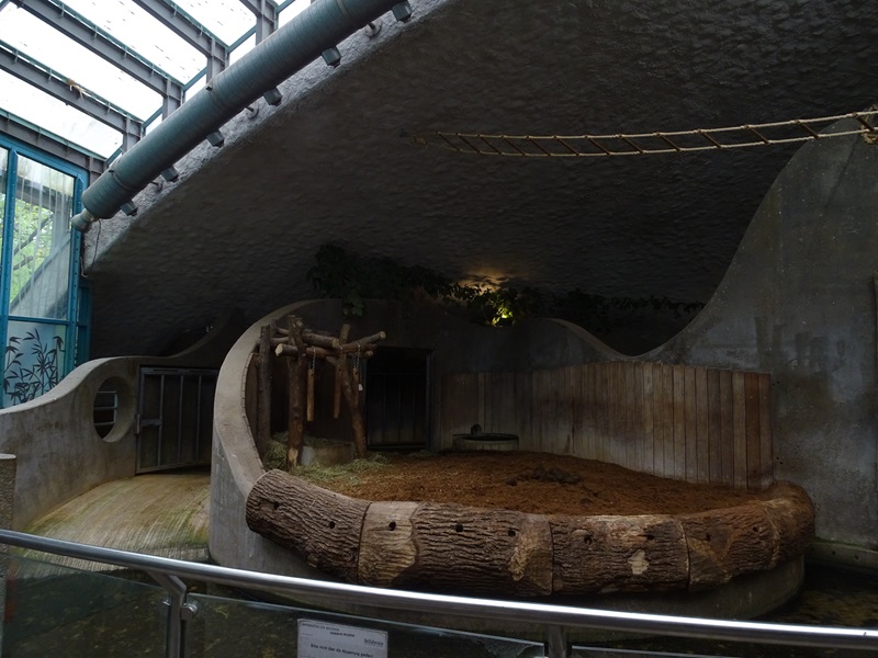 Rhino house; rhino indoor enclosure #1