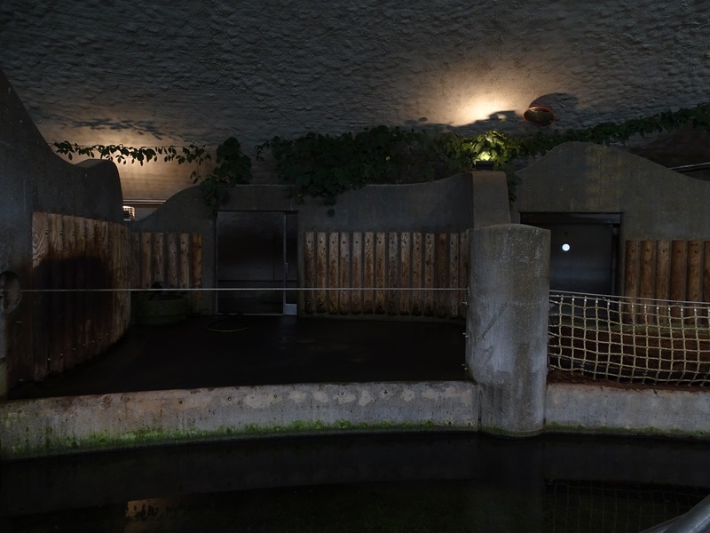 Rhino house; rhino indoor enclosure #2