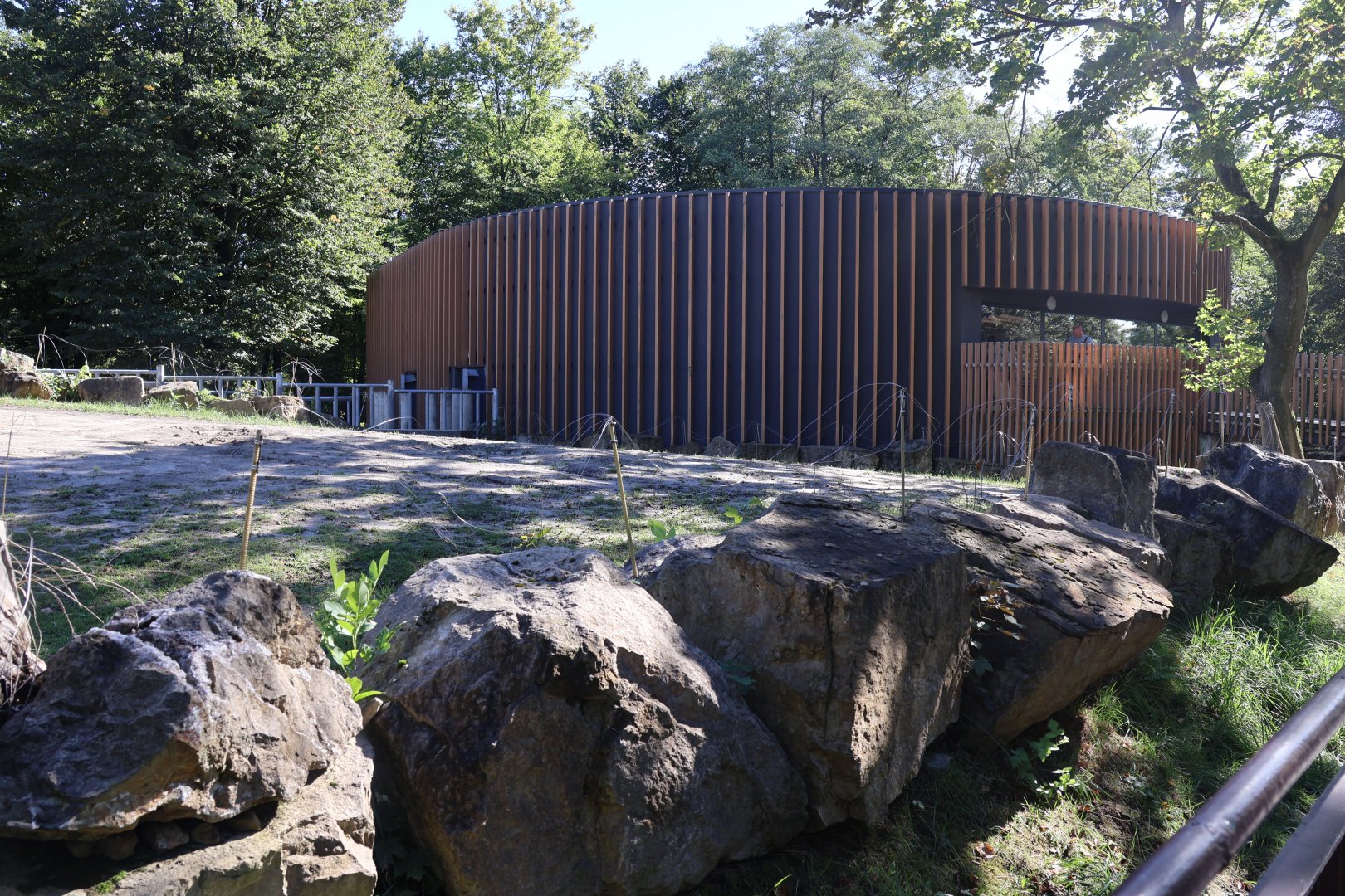 Rhino House - Southern White Rhino (Ceratotherium simum simum)