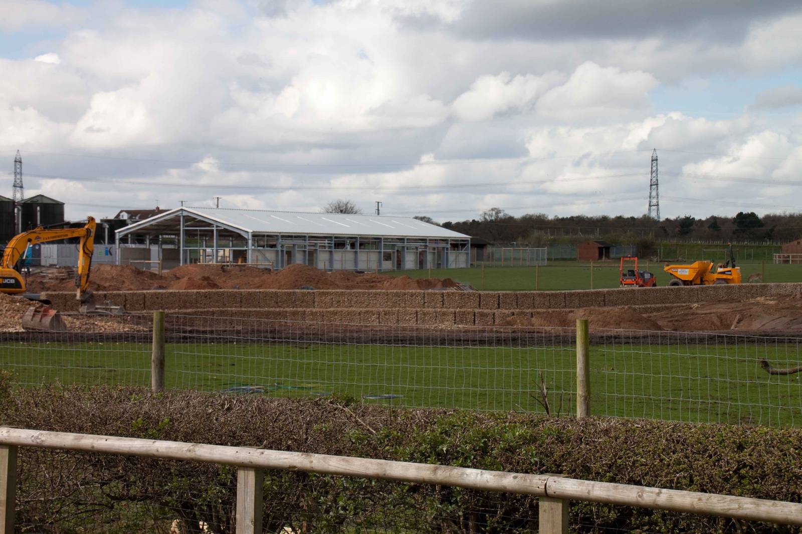 Rhino house & walkthrough