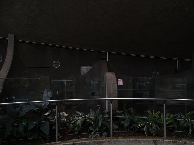 Rhino house; warty pig indoor enclosure