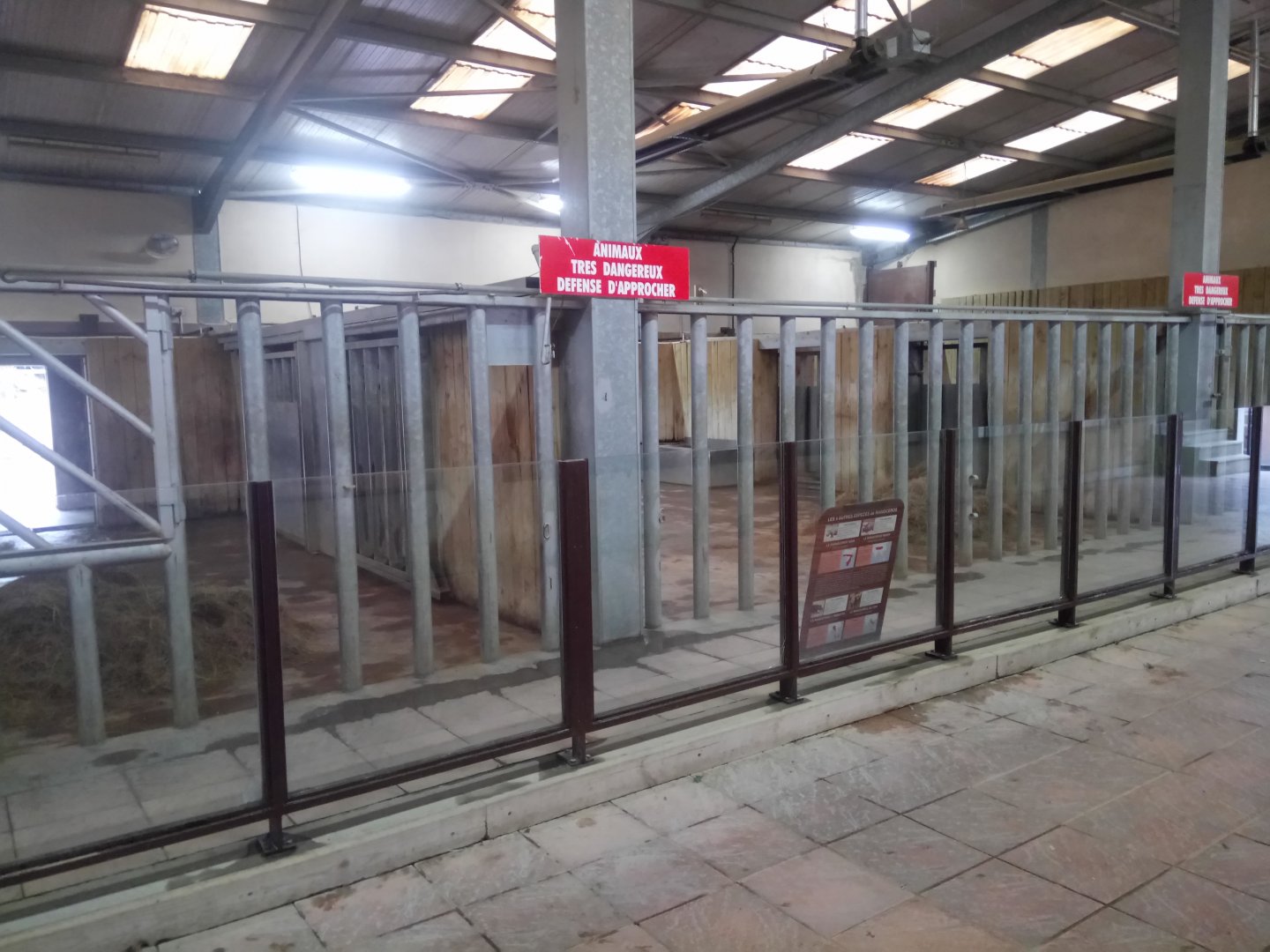 Rhino House : White Rhinoceros Indoor