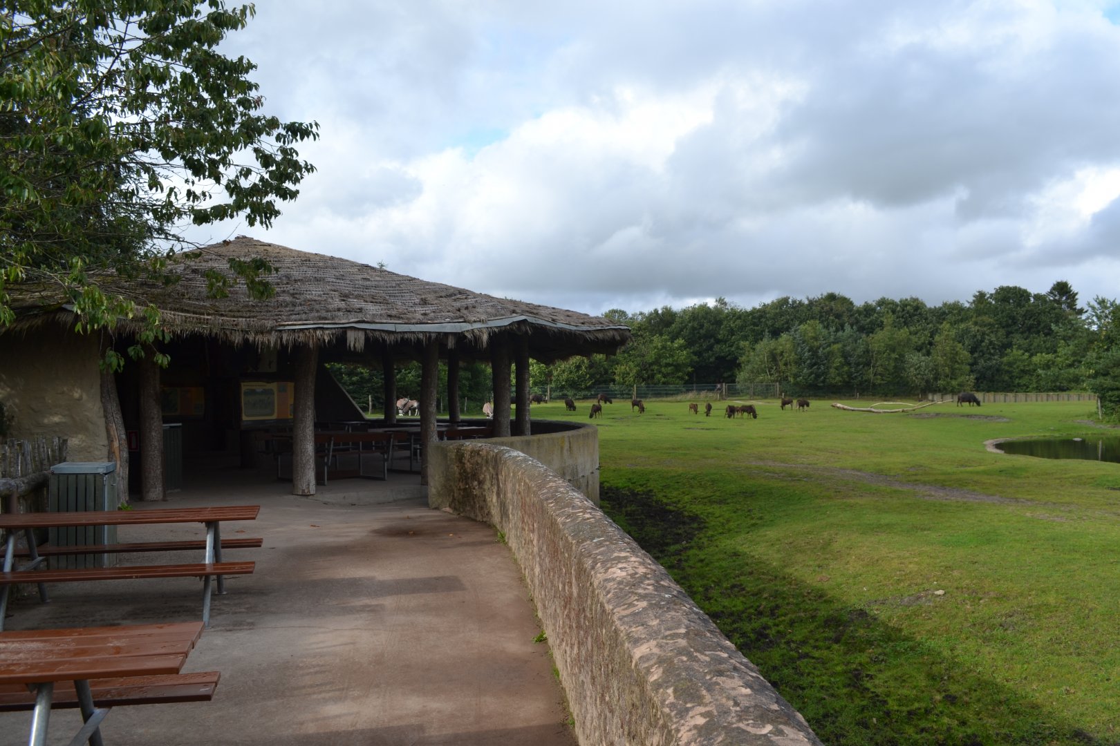 Rhino-hut in Givskud Zoo