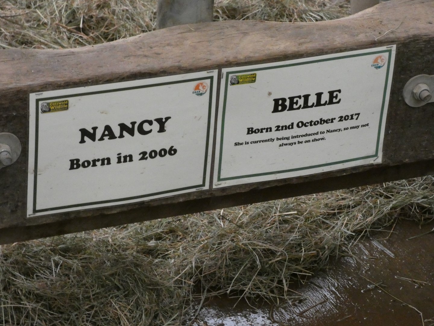 Rhino ID signage