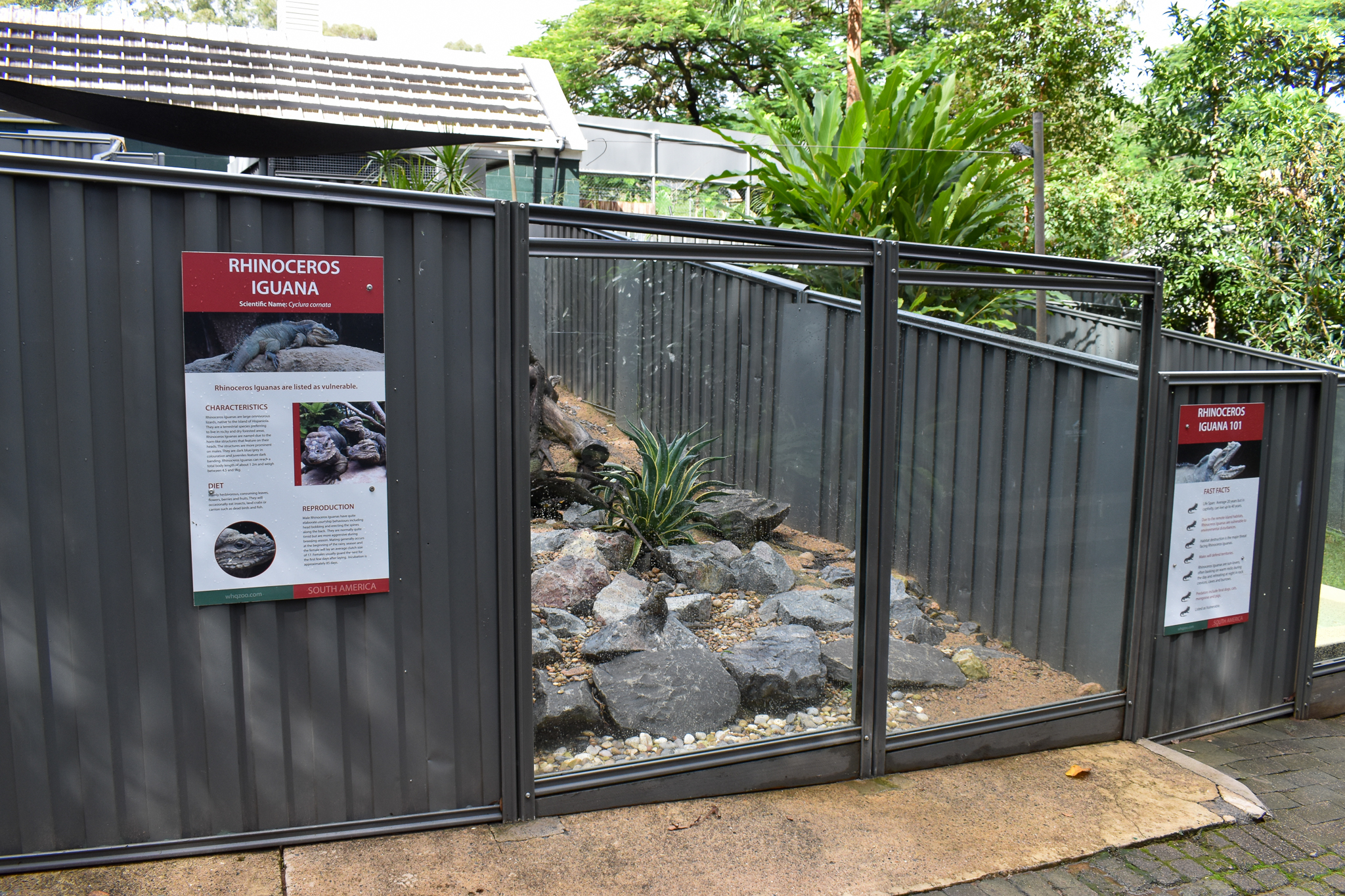 Rhino Iguana Enclosure