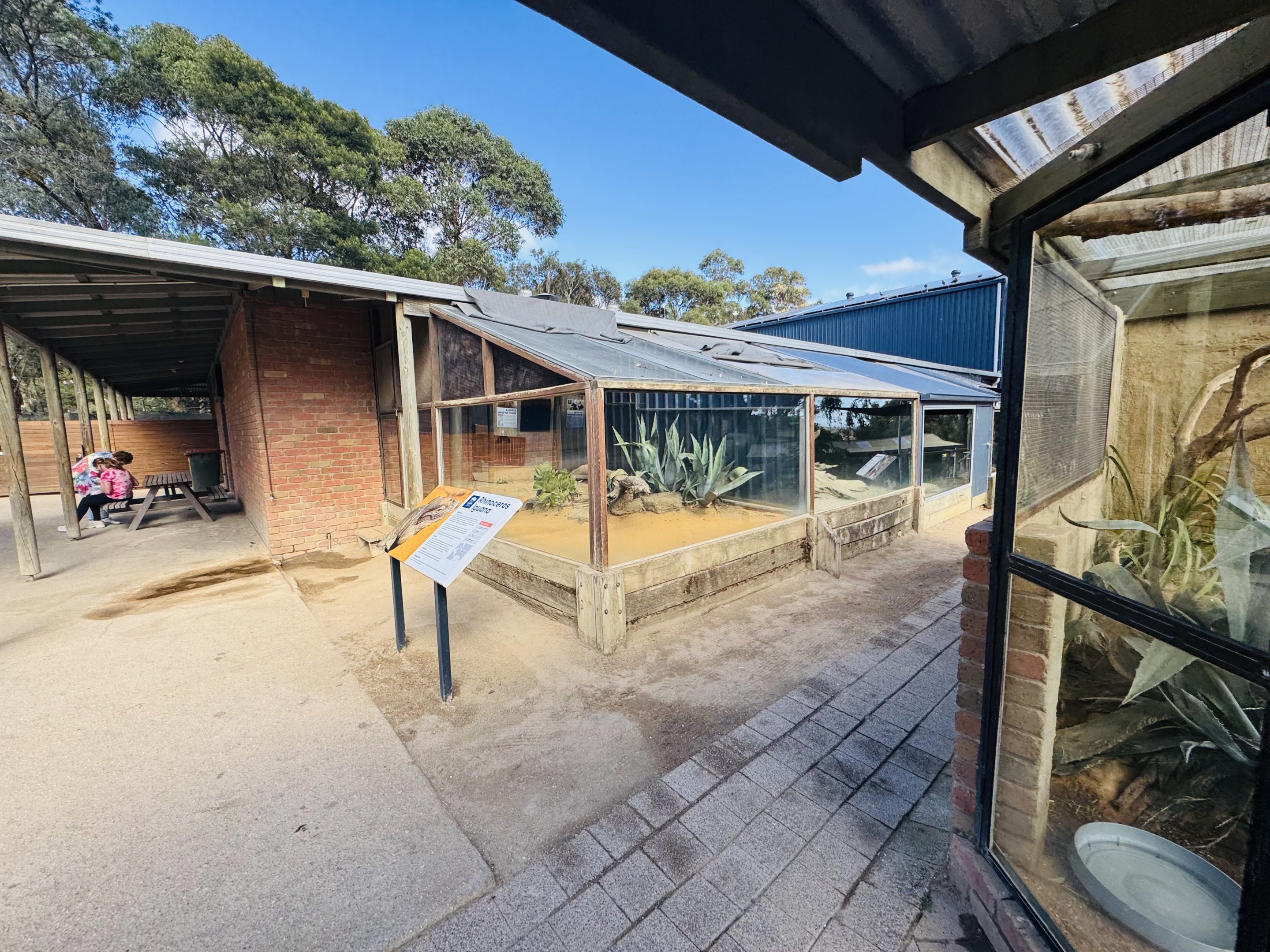 Rhino Iguana/tortoise enclosure