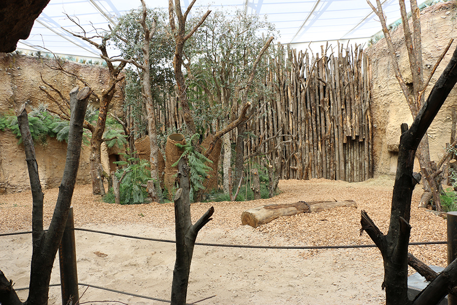 rhino indoor enclosure floor view