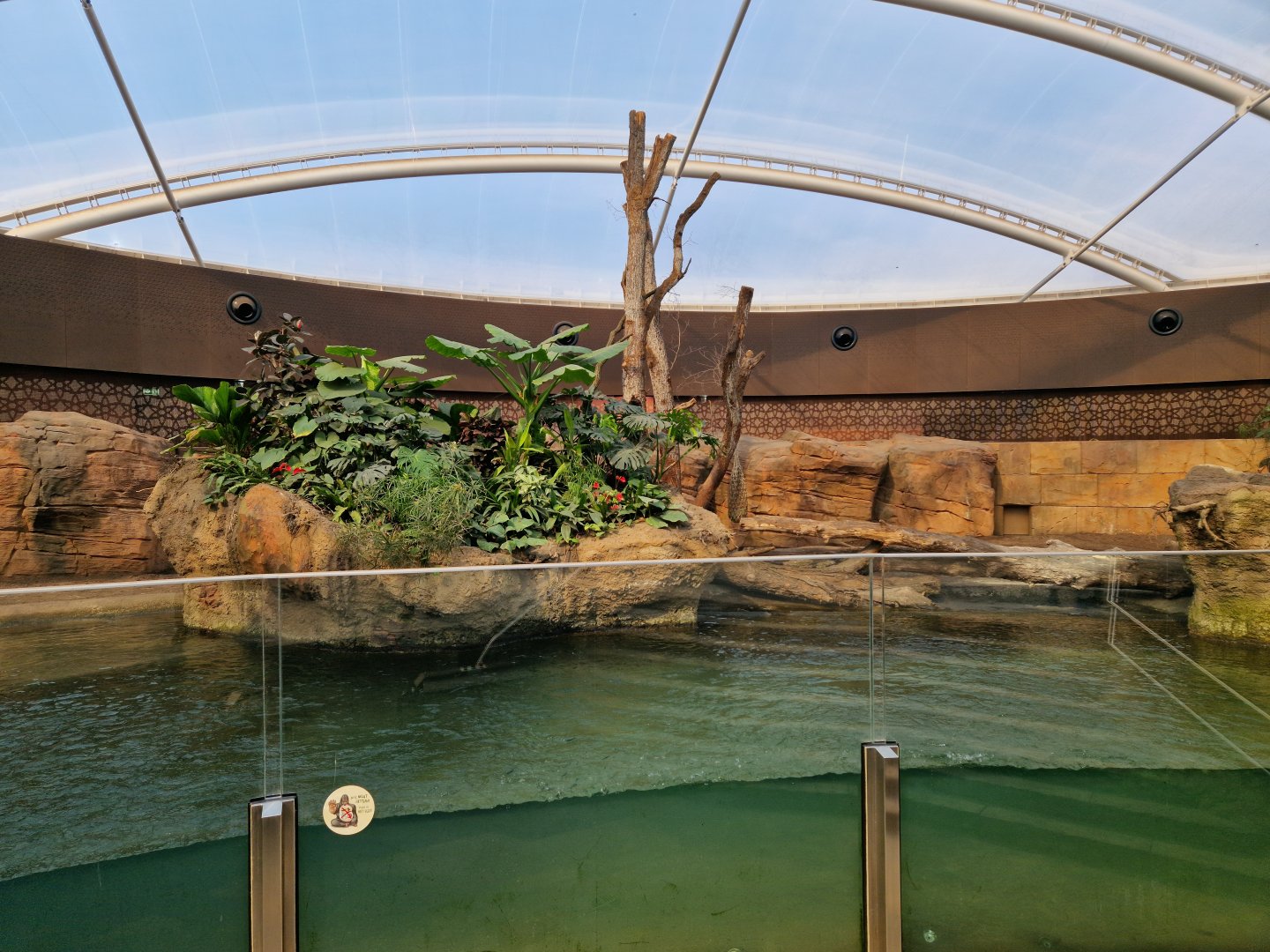 Rhino indoor exhibit