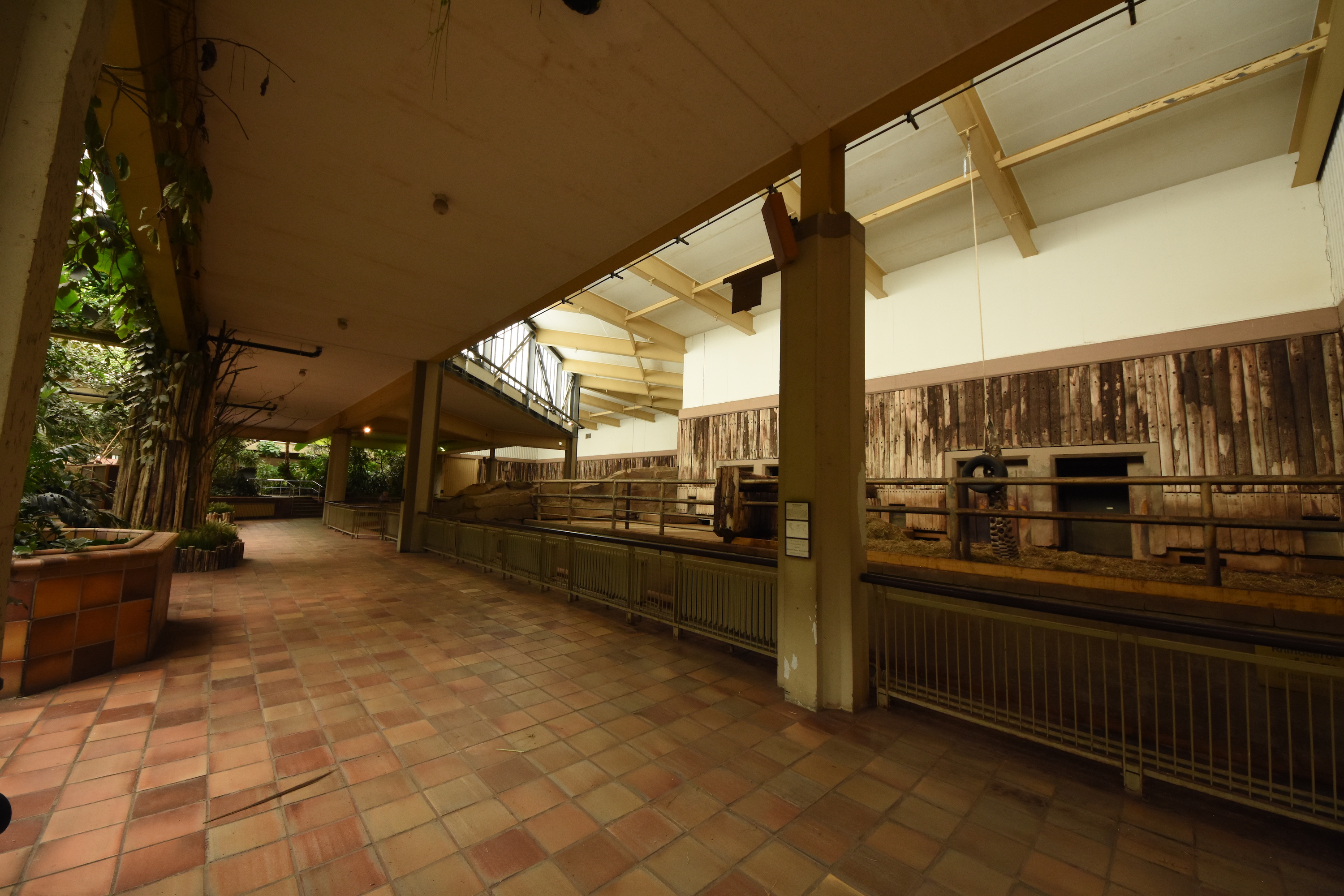 Rhino indoors - Pachyderm house