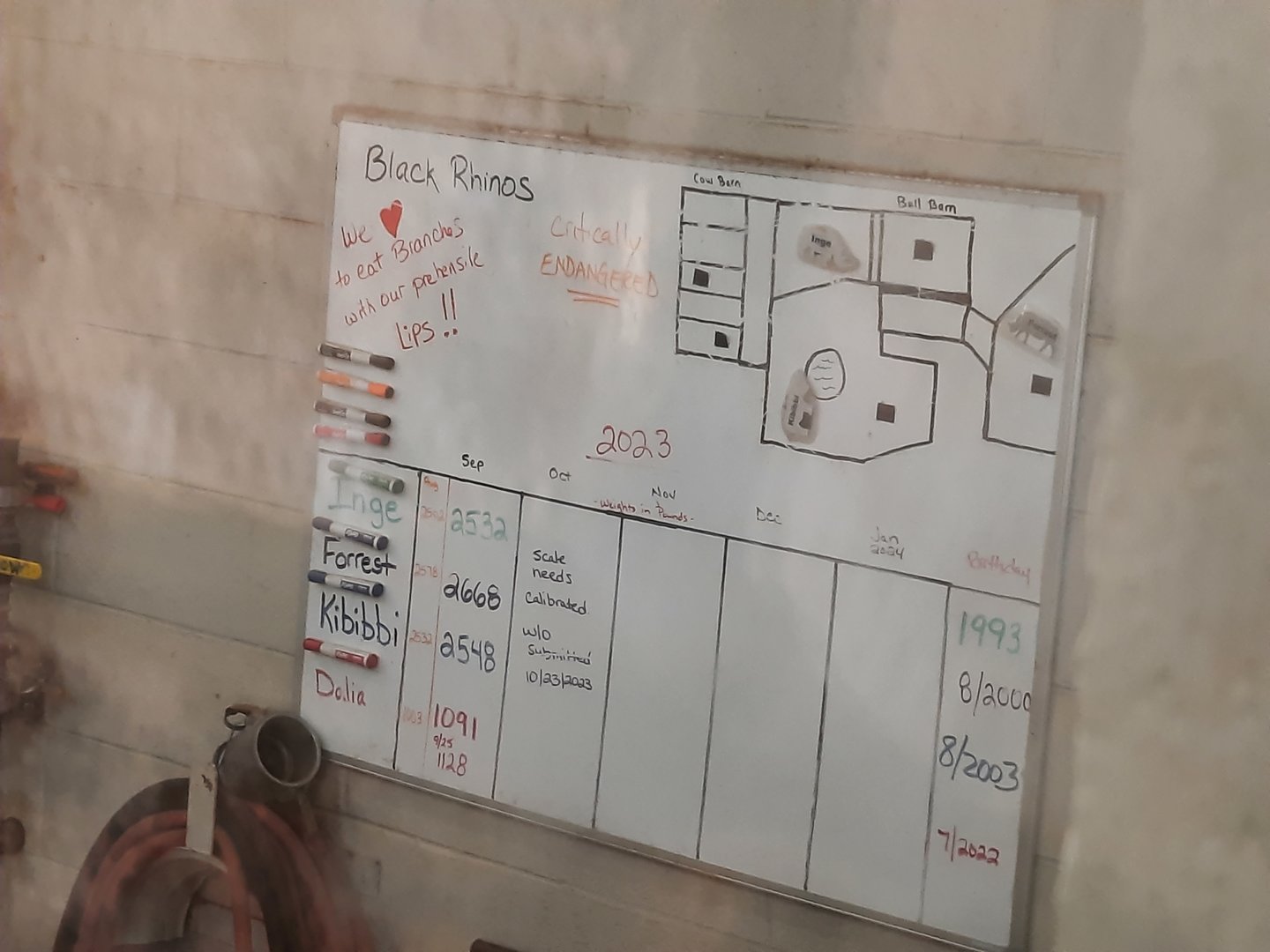 Rhino Information Board