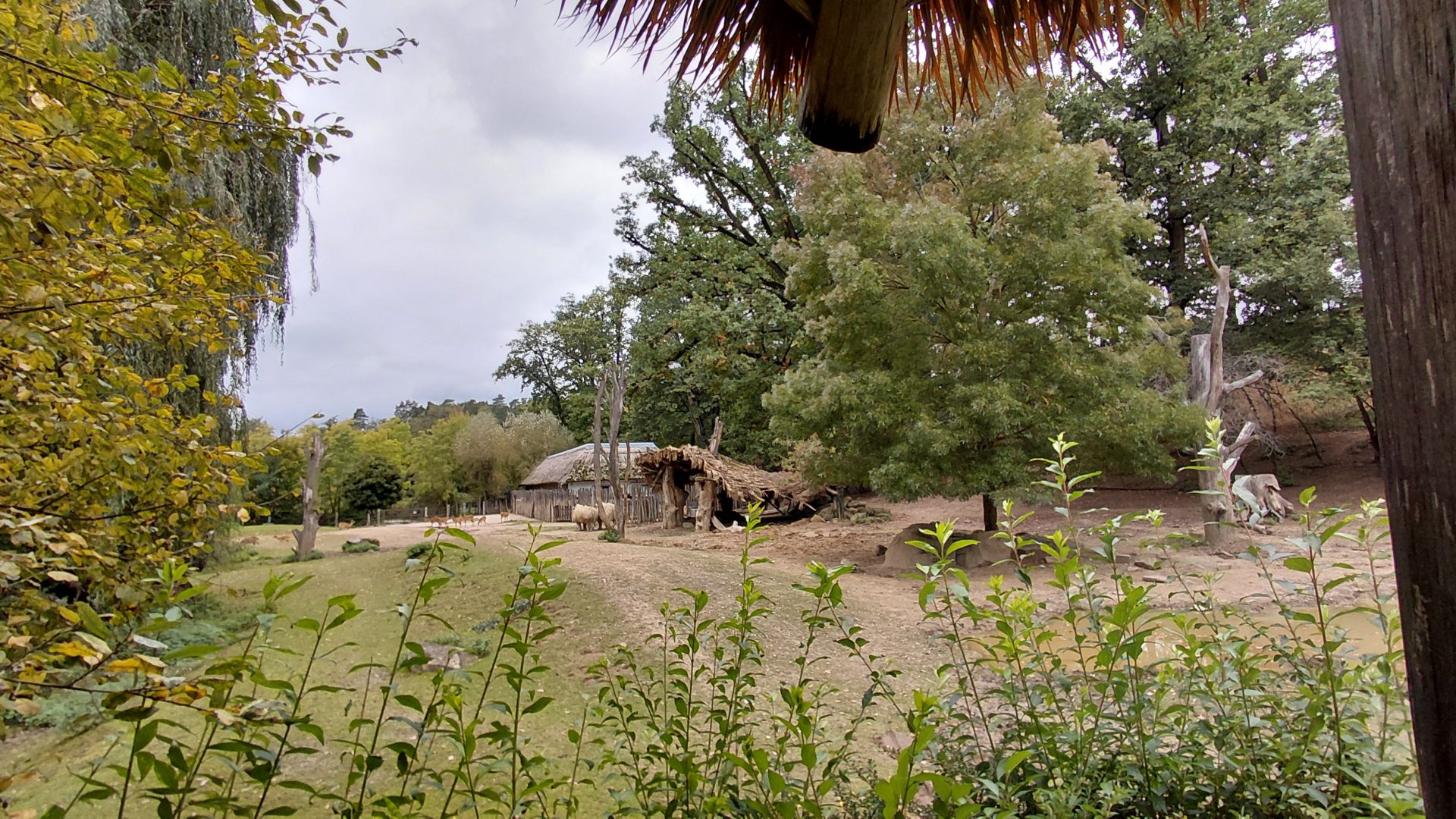 Rhino + lechwe exhibit