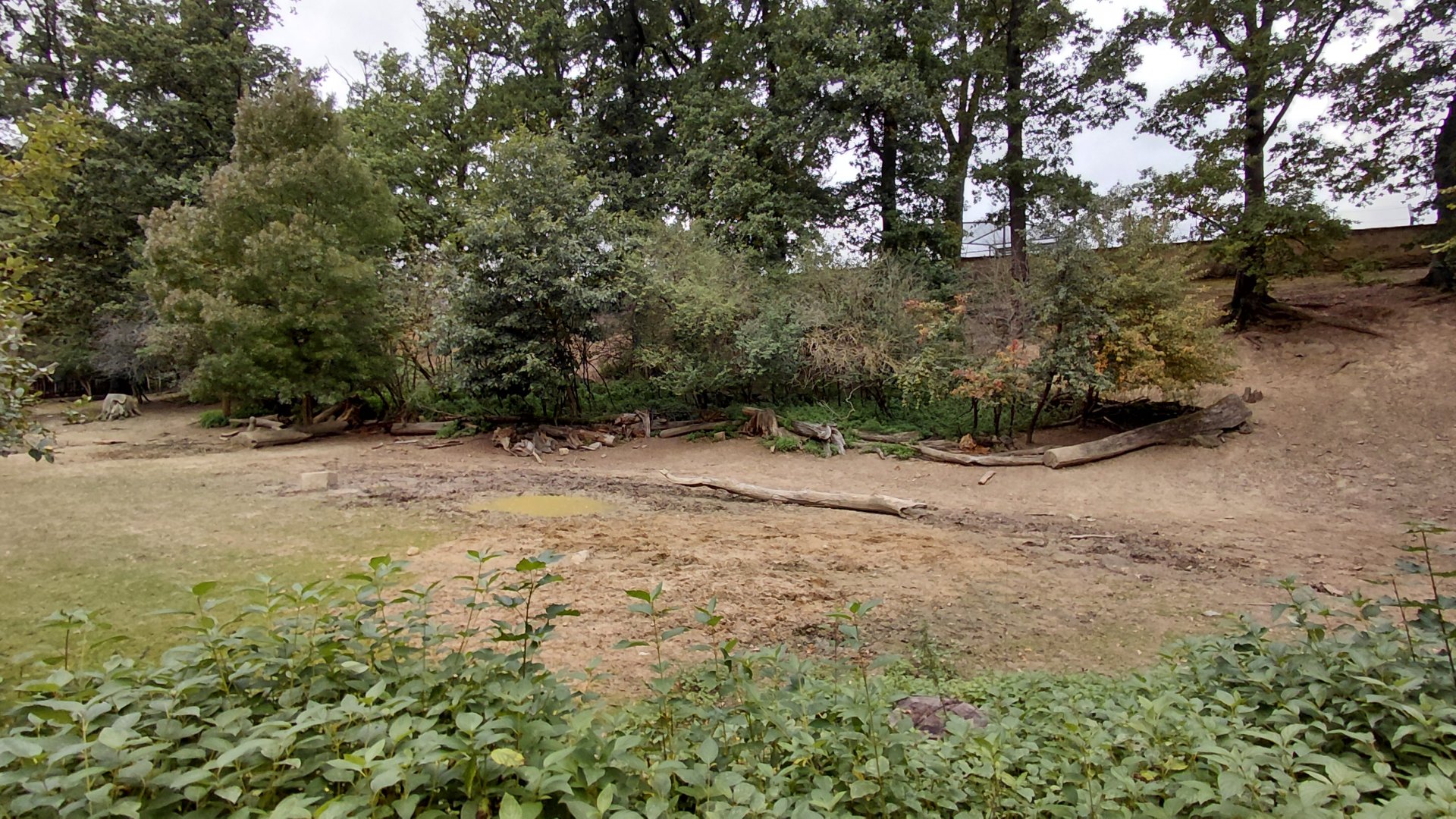 Rhino + lechwe exhibit