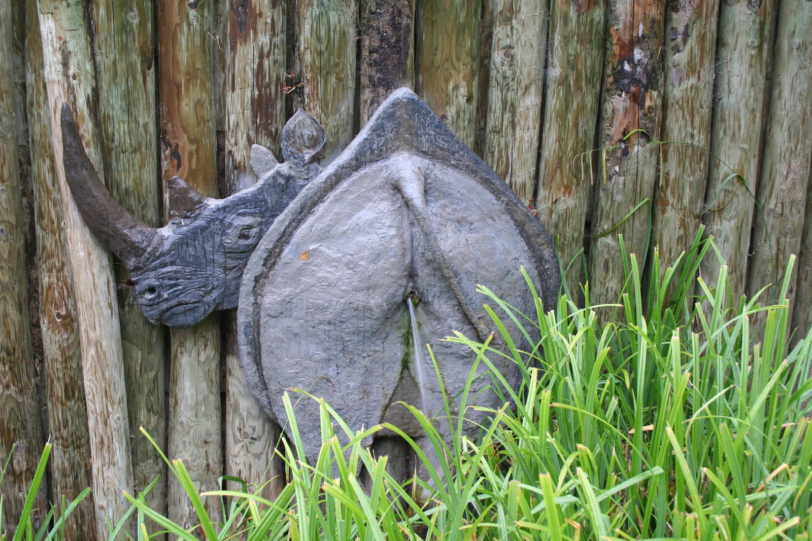 Rhino model - Chester 06