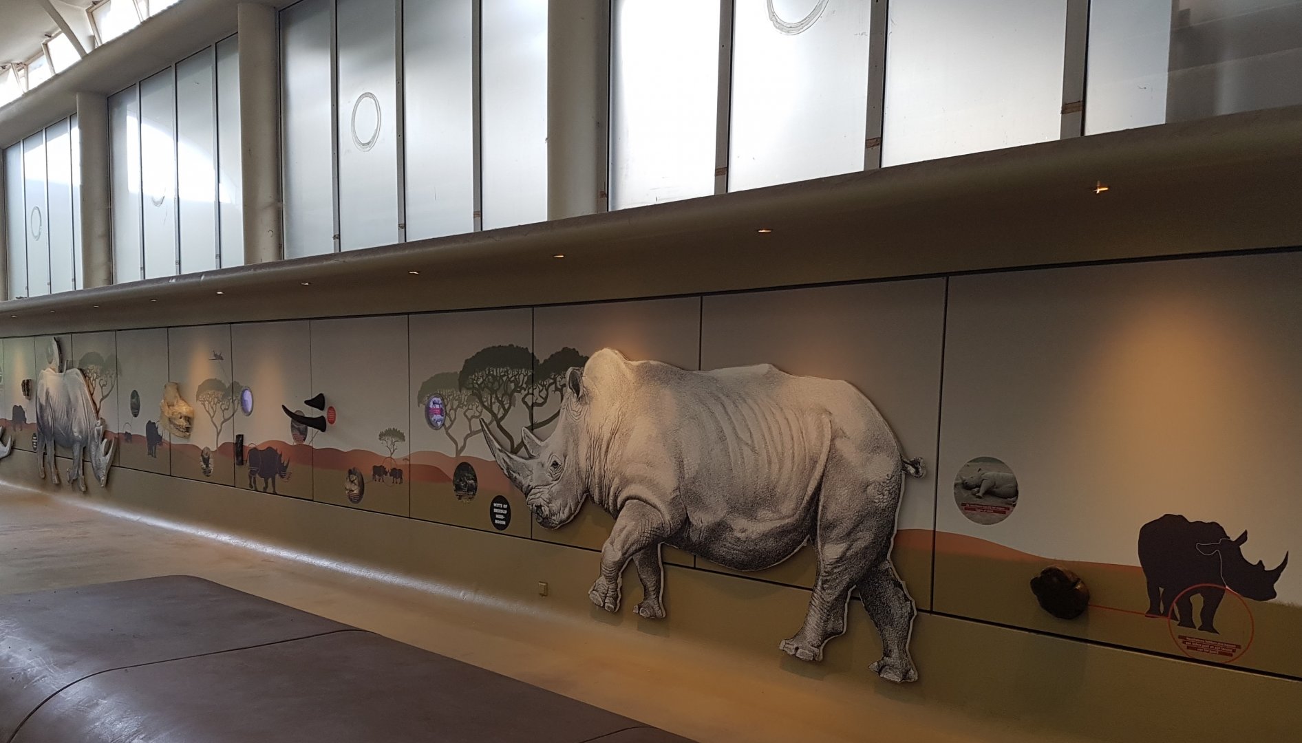 Rhino mural near the Rhinoceros indoor stables