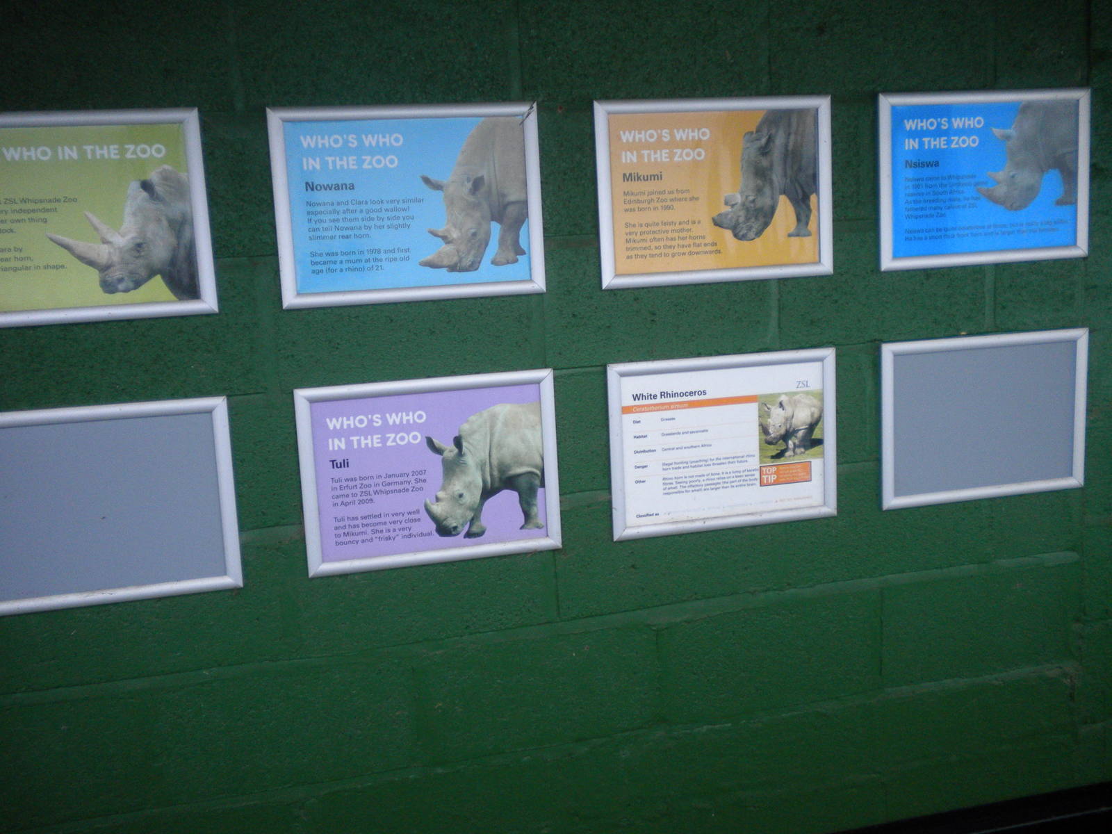 Rhino names-27/12/10.