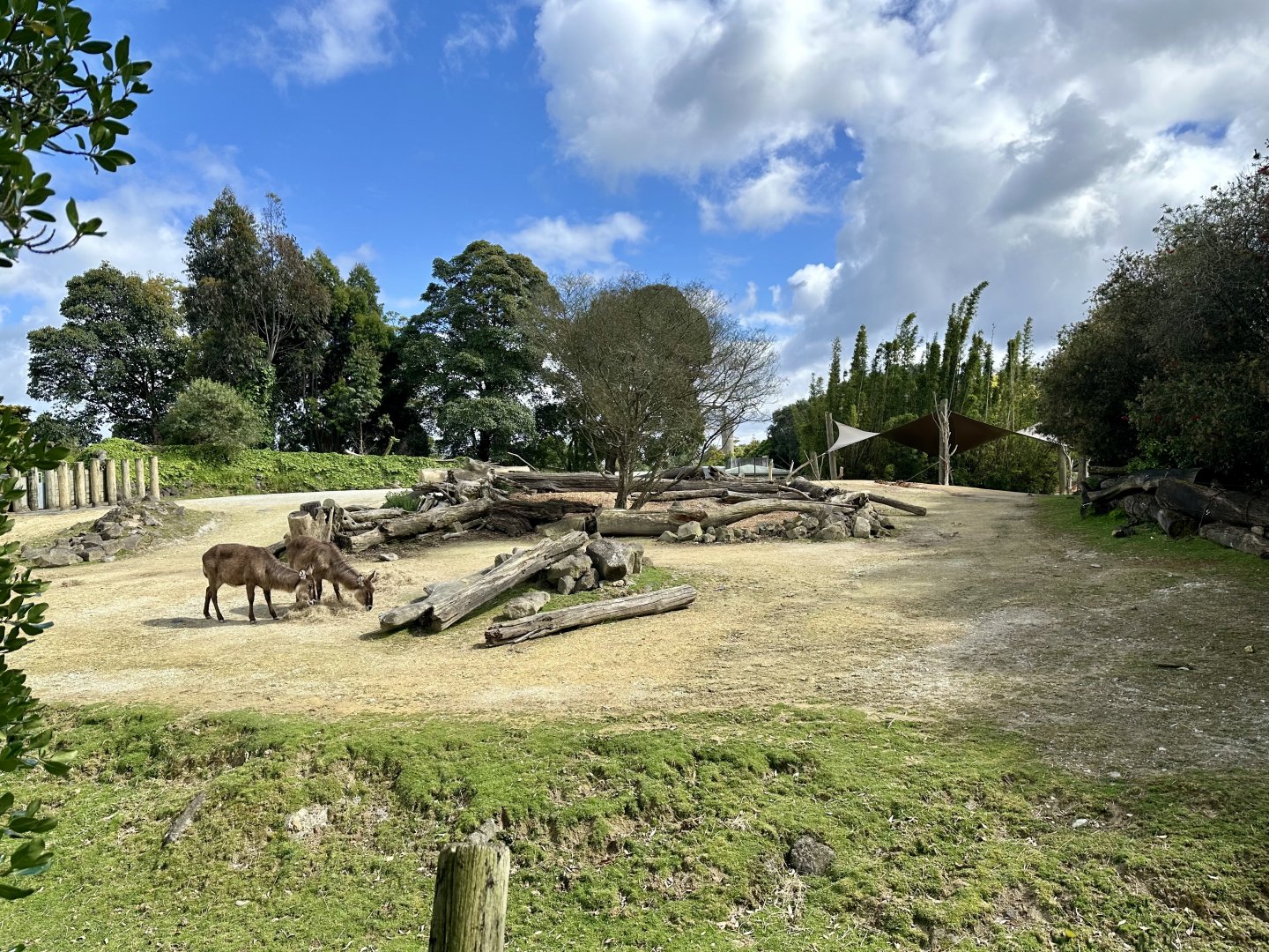 Rhino/Nyala Exhibit