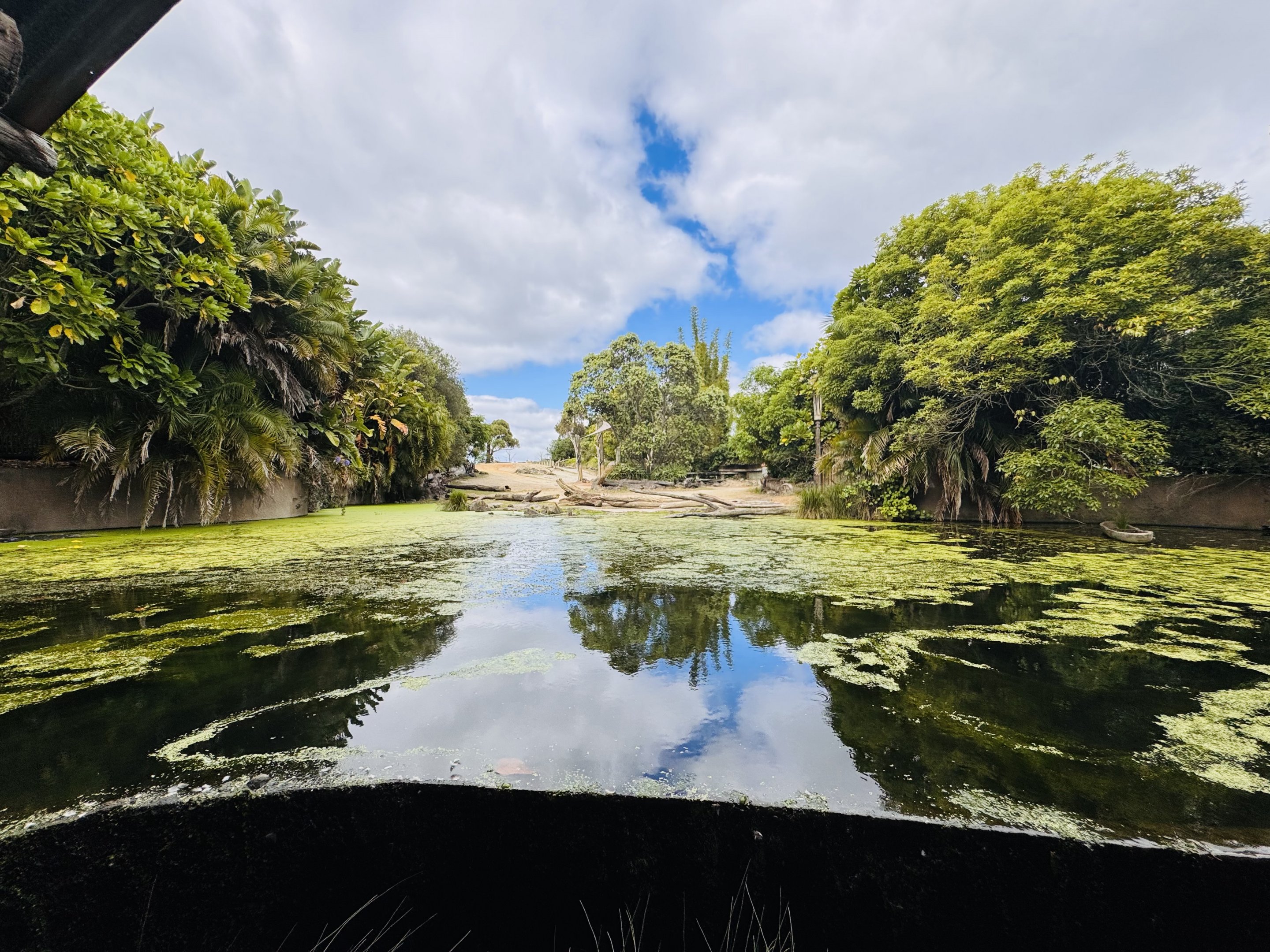 Rhino/nyala/waterbuck enclosure