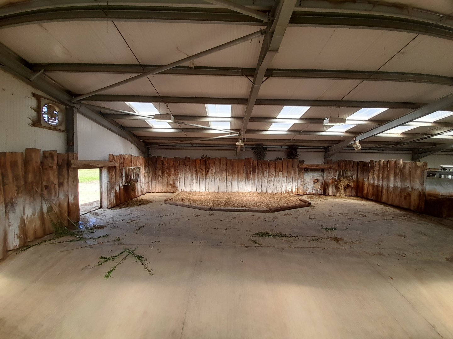 Rhino - on show indoor area