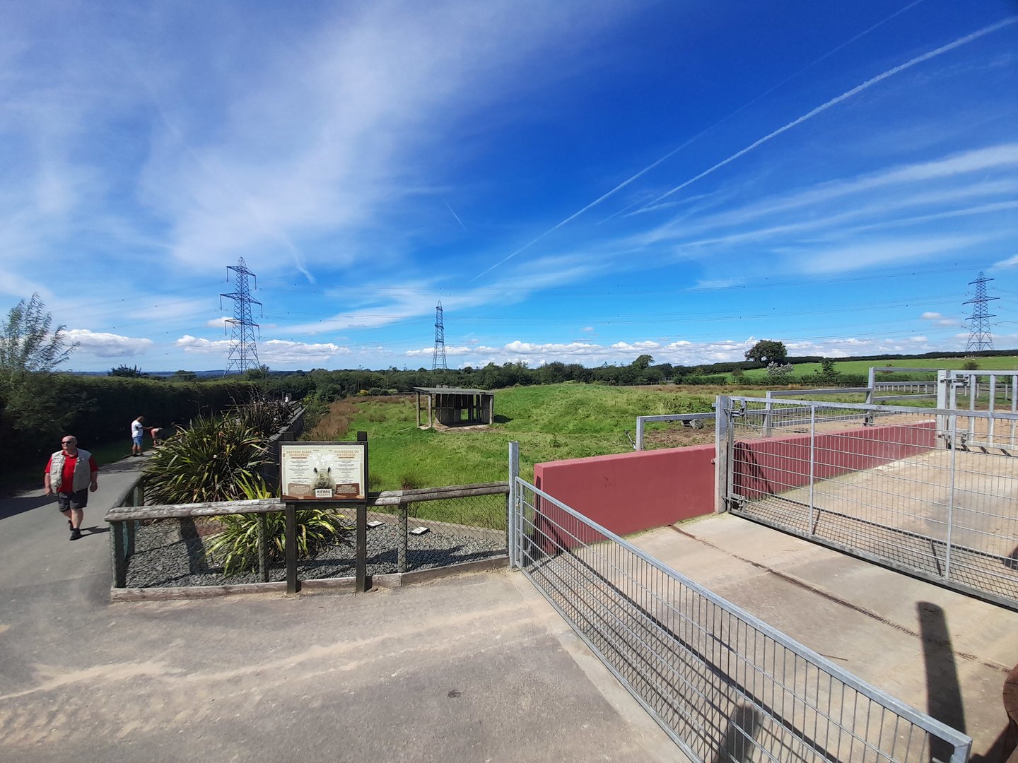 Rhino - outdoor area A