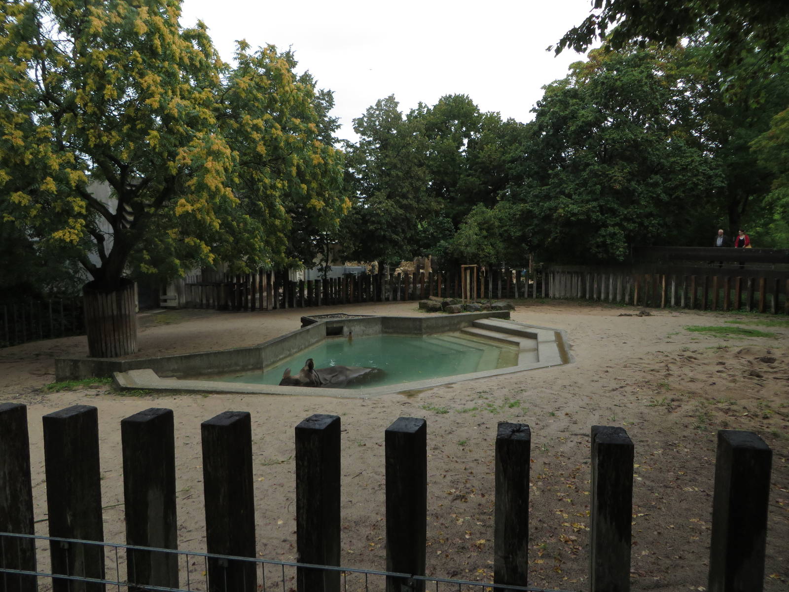 Rhino outdoor enclosure