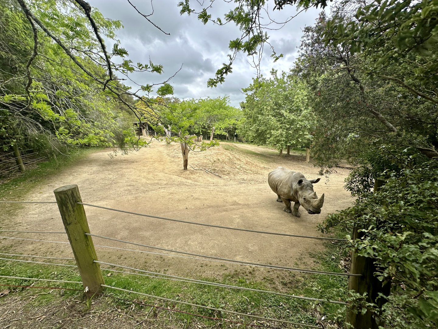 Rhino Paddock 1 (Kruger’s Paddock)